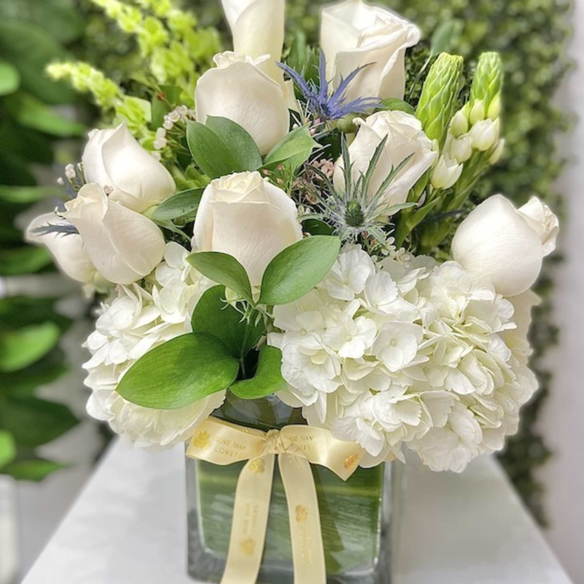 White roses and hydrangeas in a glass cube vase with a cream ribbon and green accents.