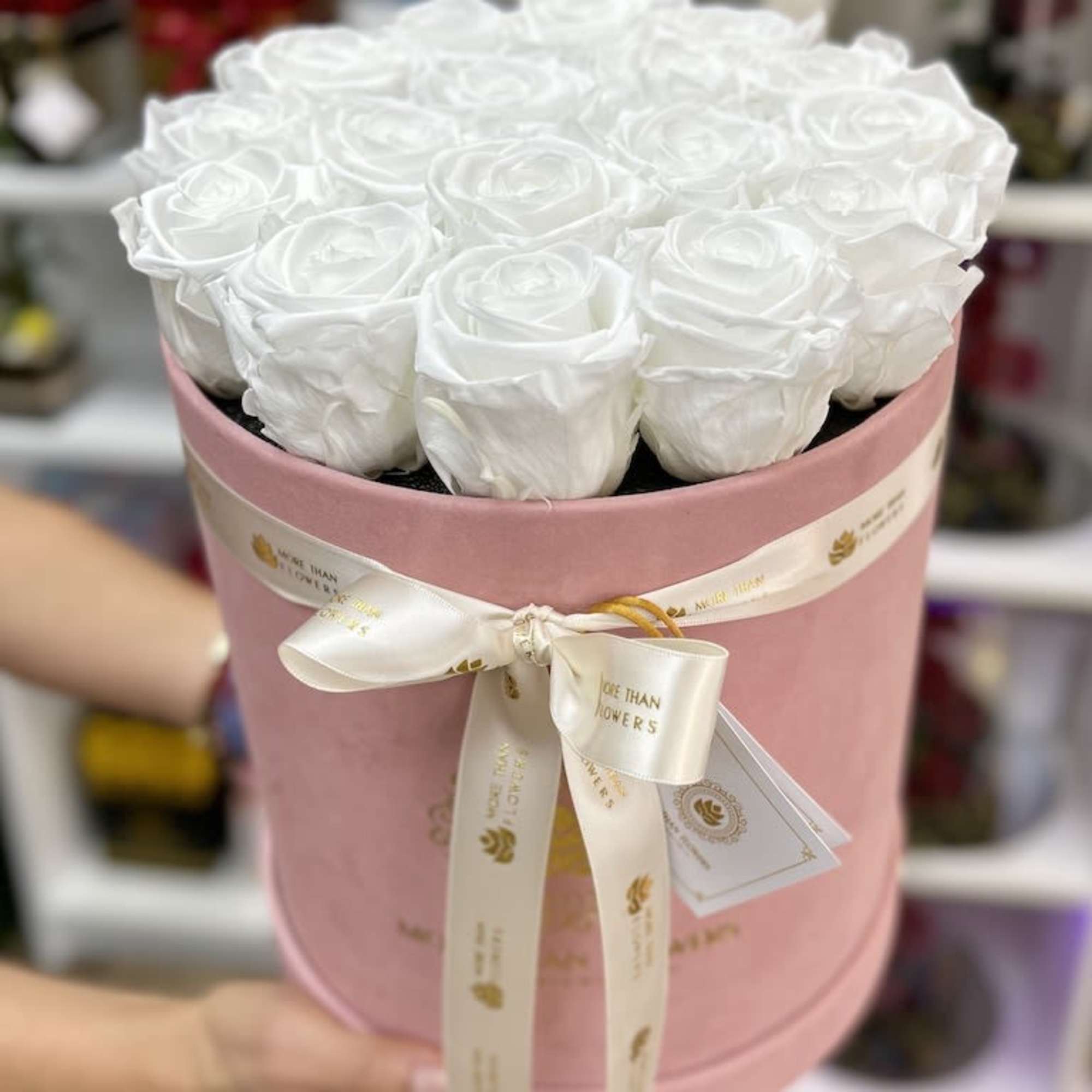 White roses arranged in a pink round hatbox with a cream ribbon bow