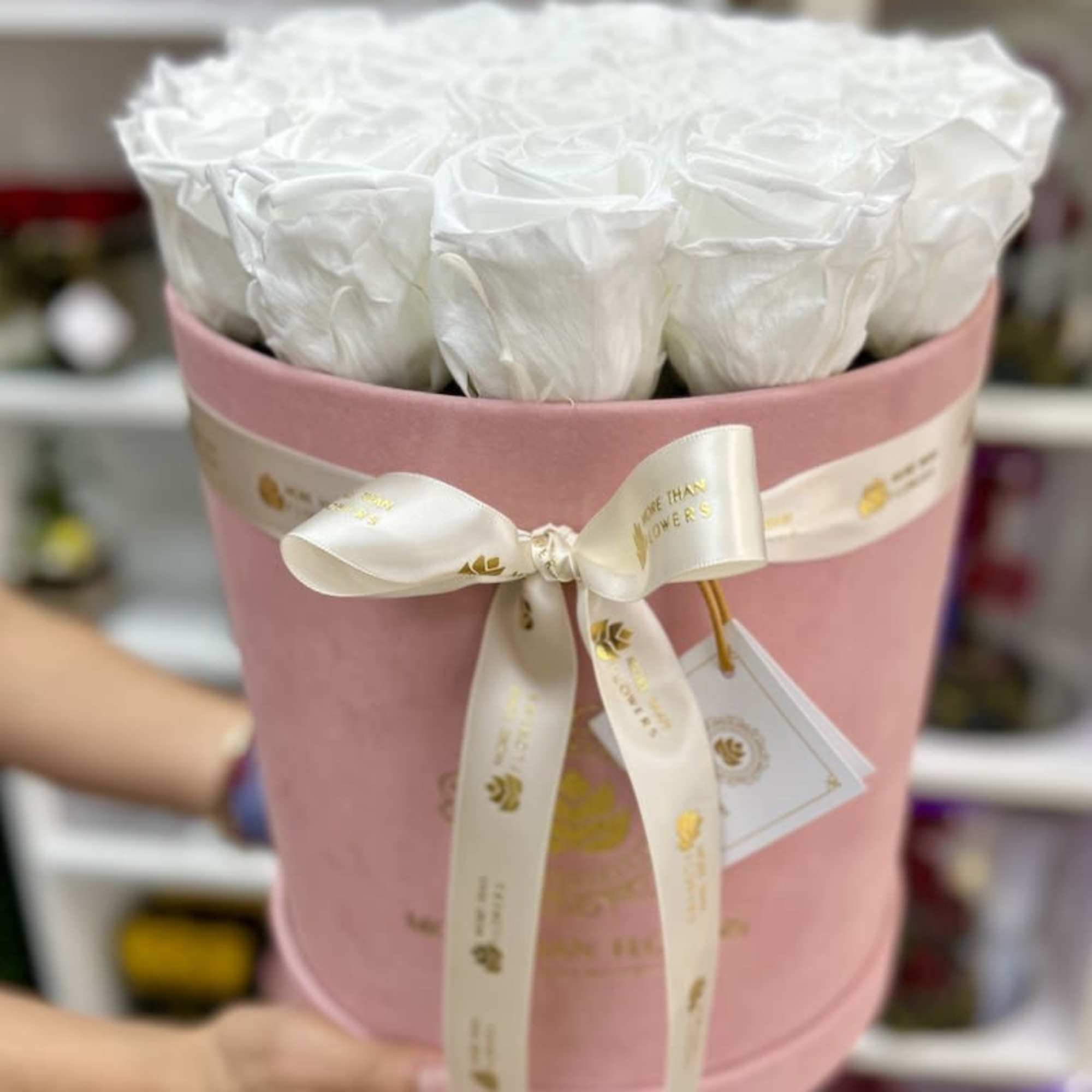 Round pink hatbox filled with white roses, tied with a cream ribbon and held in both hands
