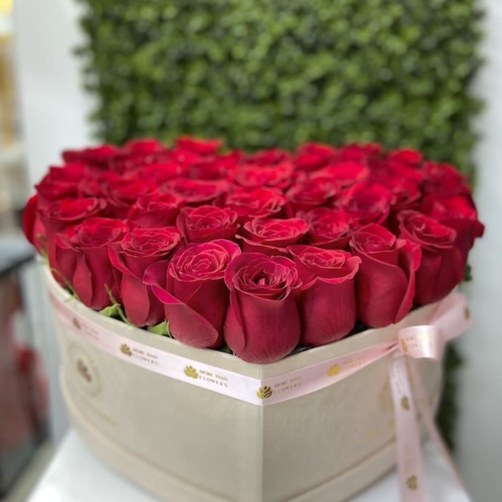 Heart-shaped box filled with tightly packed red roses, wrapped with a pale ribbon and bow.