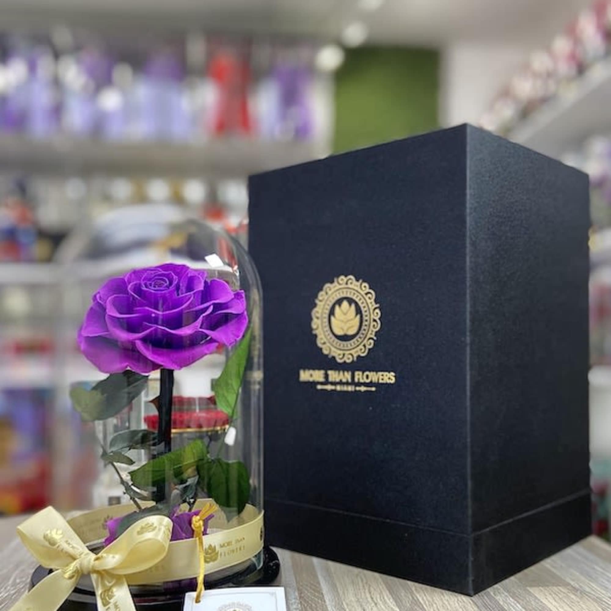 Single purple rose under a glass dome with a black gift box beside it
