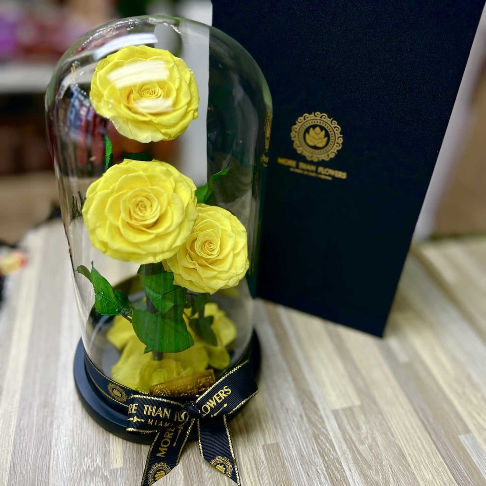 Three yellow roses under a glass dome on a black base with ribbon beside a black gift box