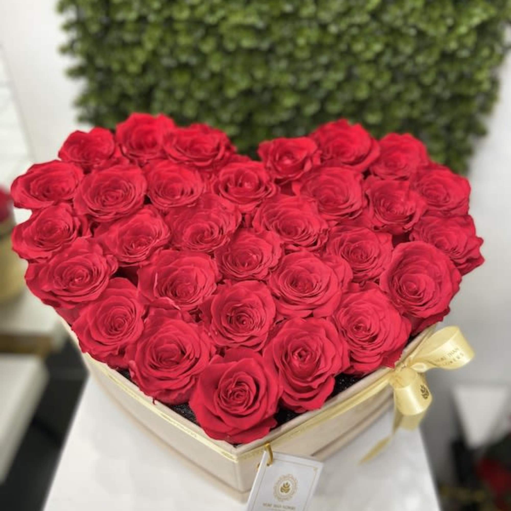 Heart-shaped cream box filled with red roses and tied with a gold ribbon.