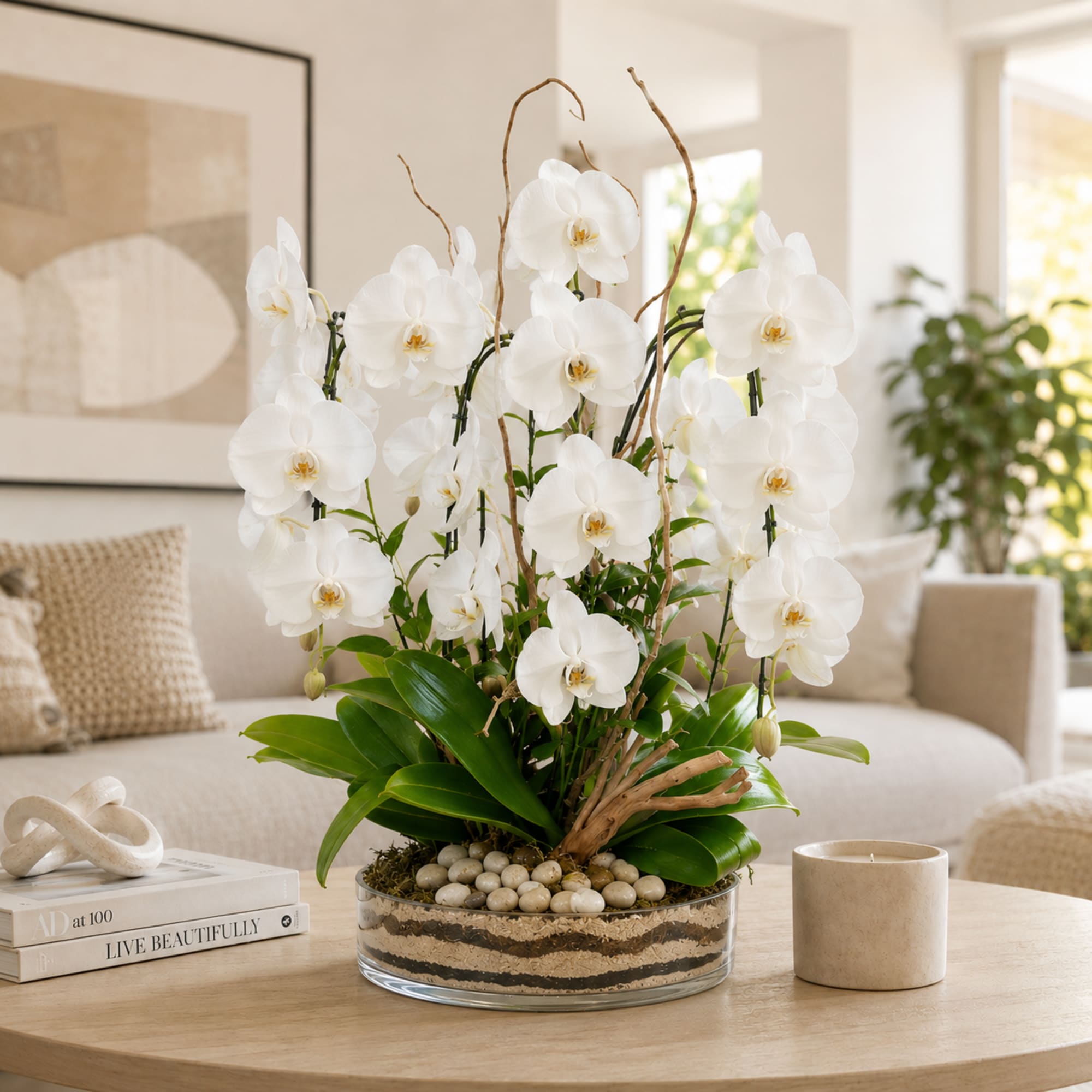 Orchid Fiesta: 5 Beautiful Orchid arrangement Artistically arranged in a square/cylinder crystal
