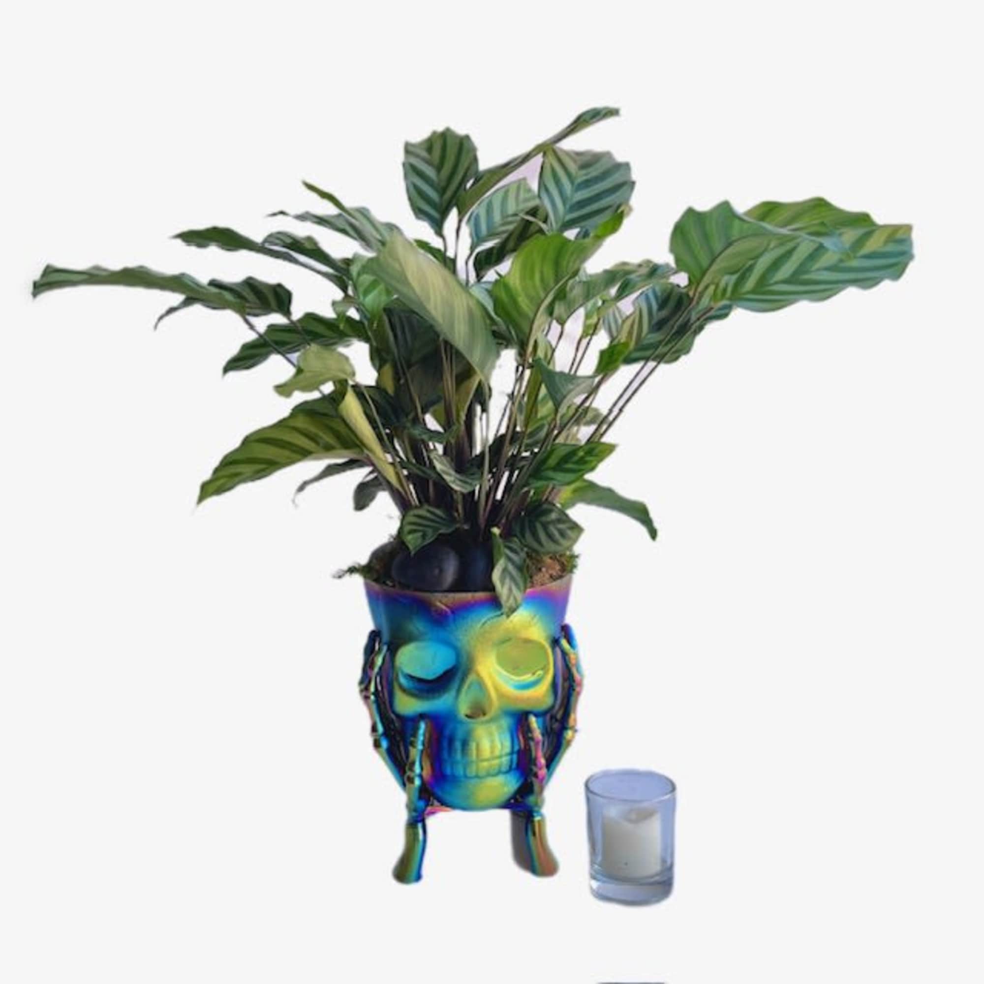 Potted leafy plant in a rainbow skull planter beside a small candle