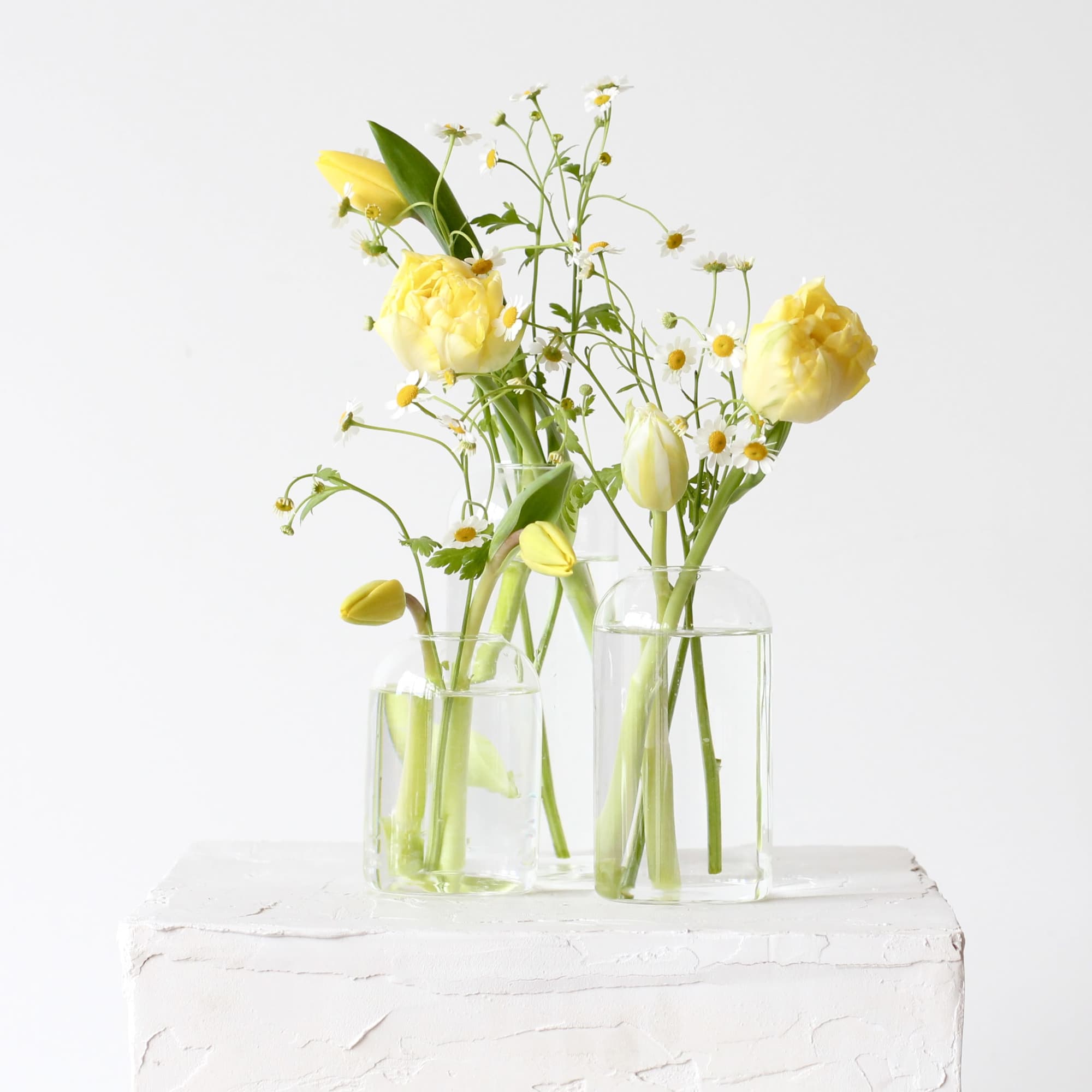Minimal arrangement of yellow tulips and small white daisies in clear glass bud vases