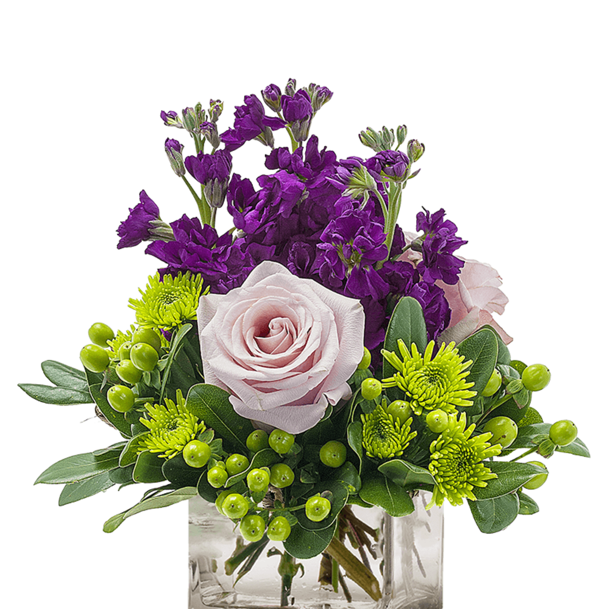 My Anna Marie is a sweet pop of purple with lovely lavender