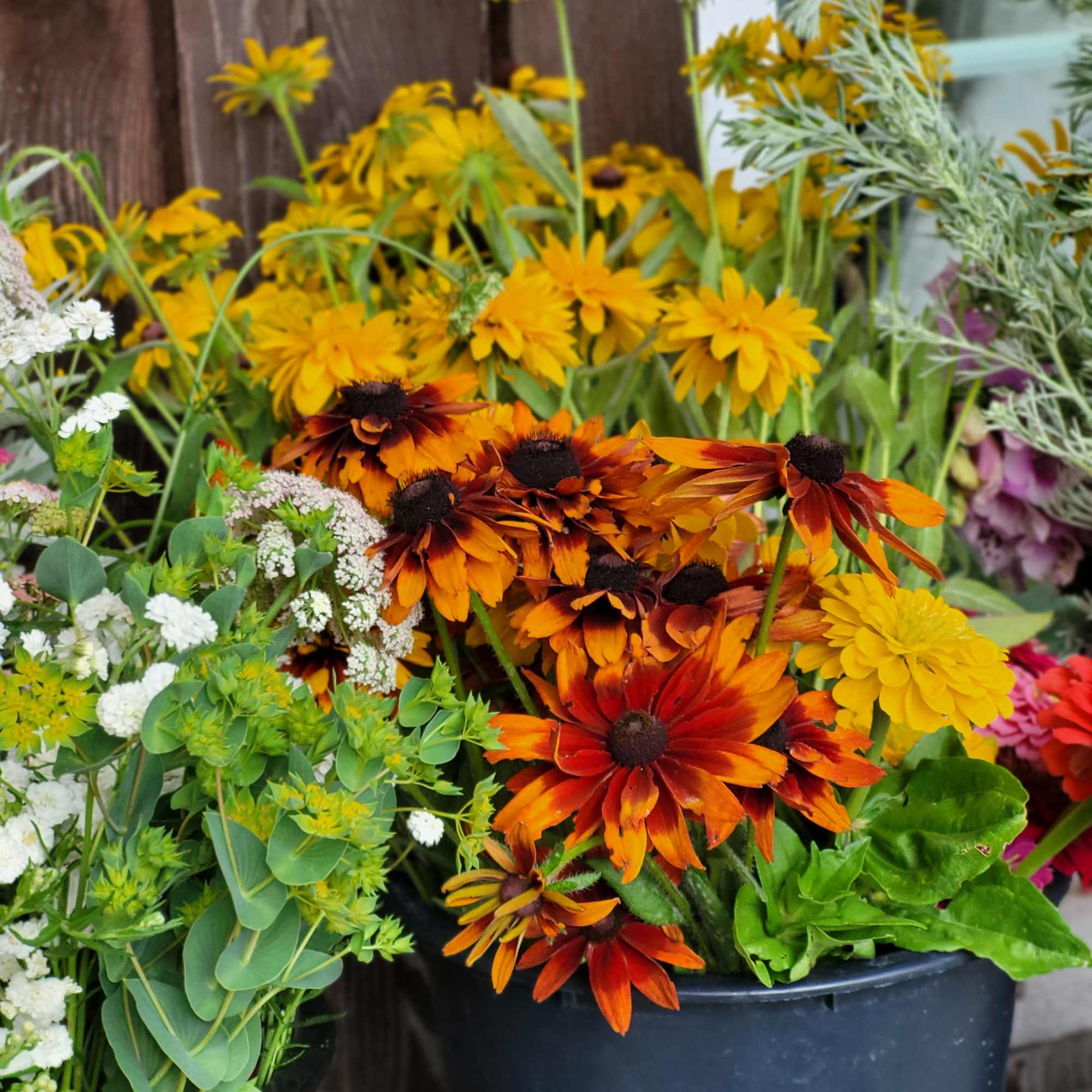 Potted arrangement of orange and yellow daisy-like flowers
