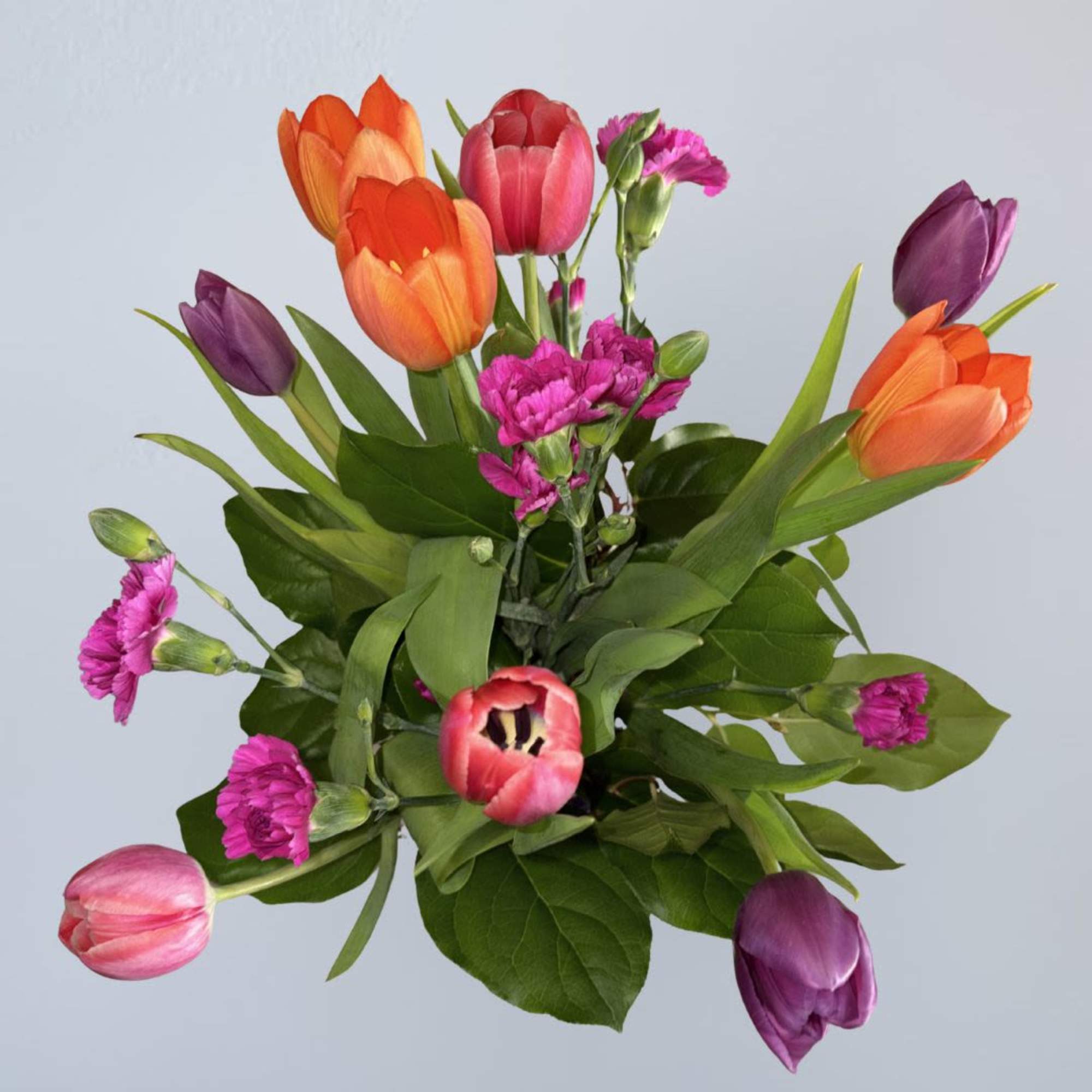 Recipe: Different colors of Tulips with carnations in a tall clear vase, photo 2 of 2