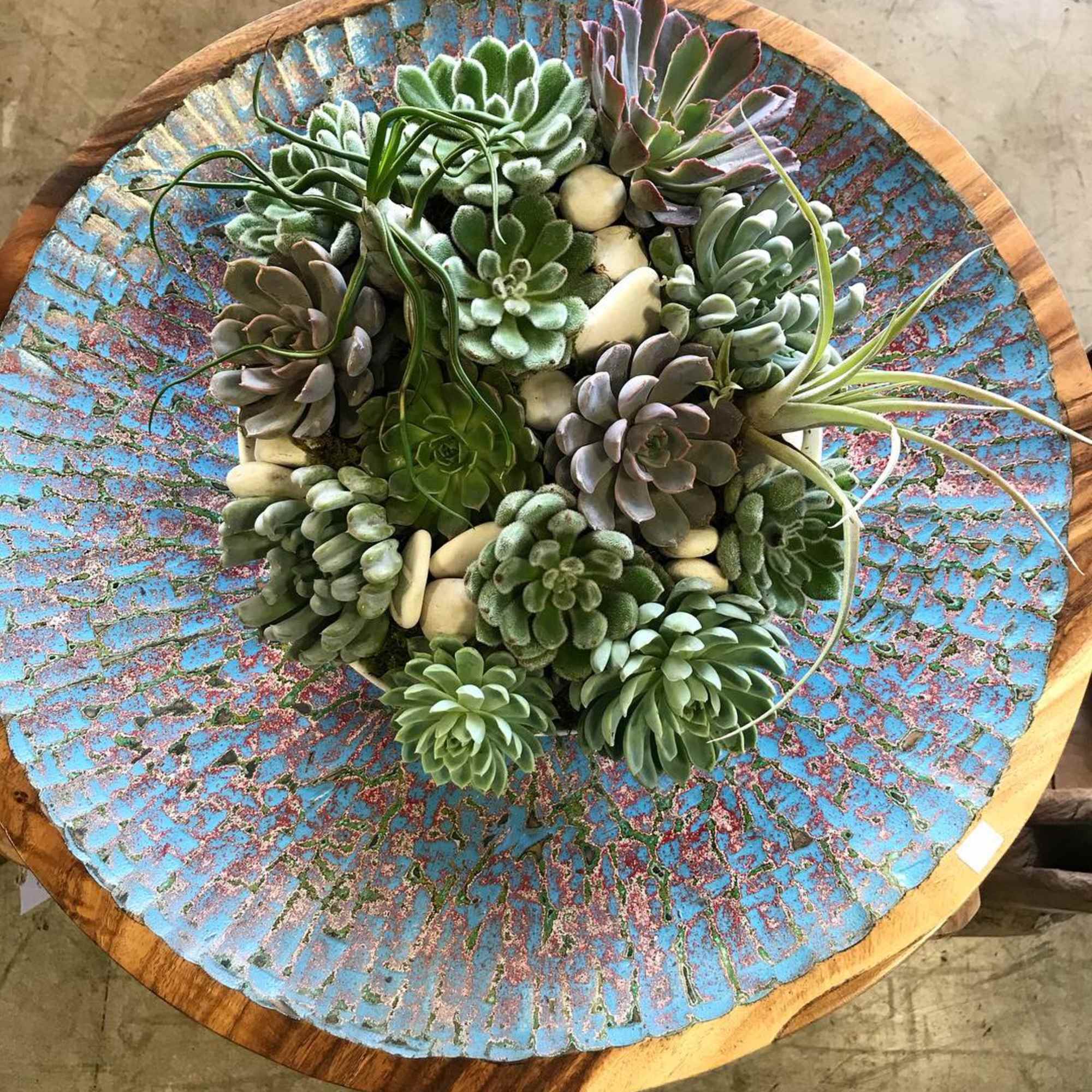 Round succulent arrangement in a blue mosaic bowl