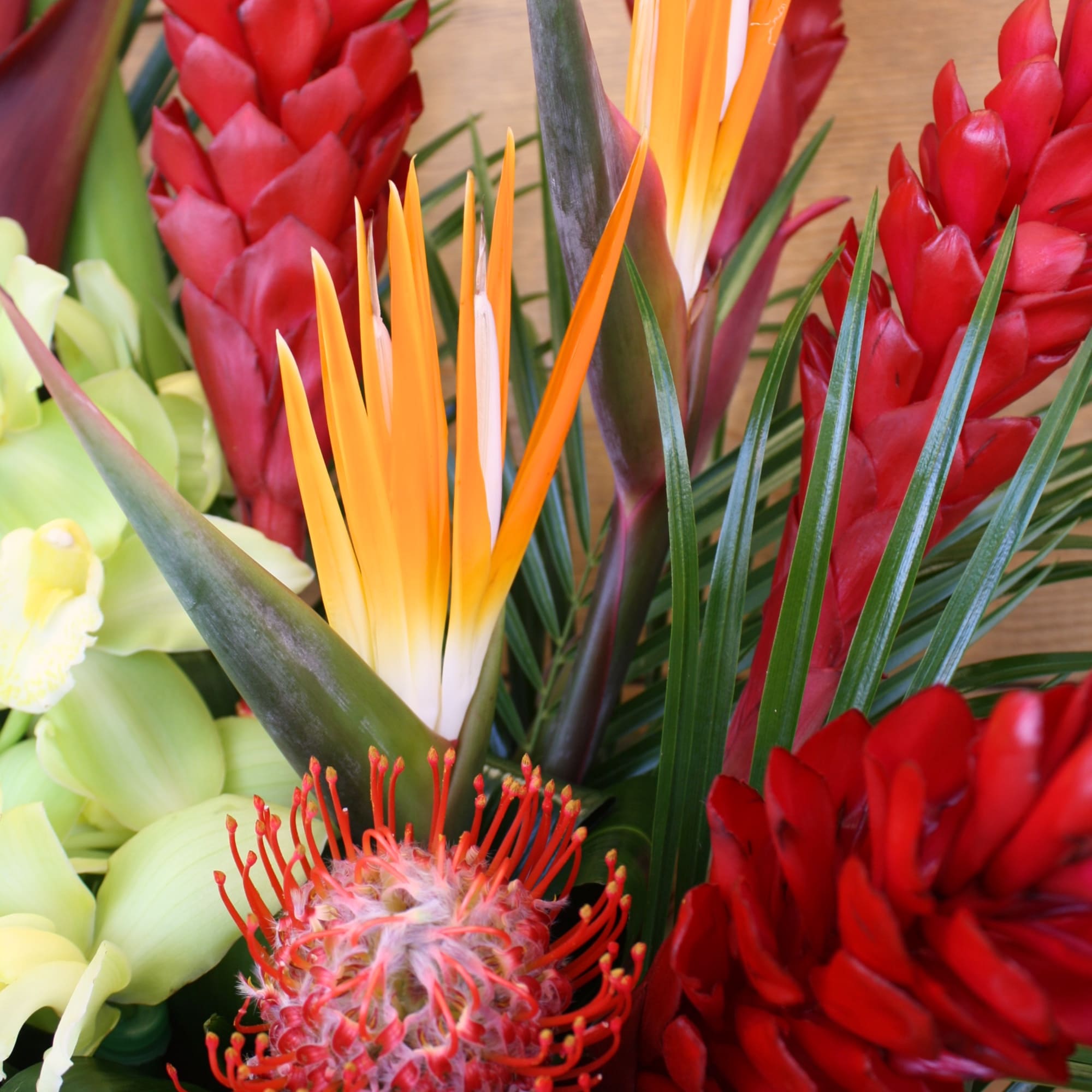 Tropical bouquet with red ginger, orange bird of paradise, and pale green blooms