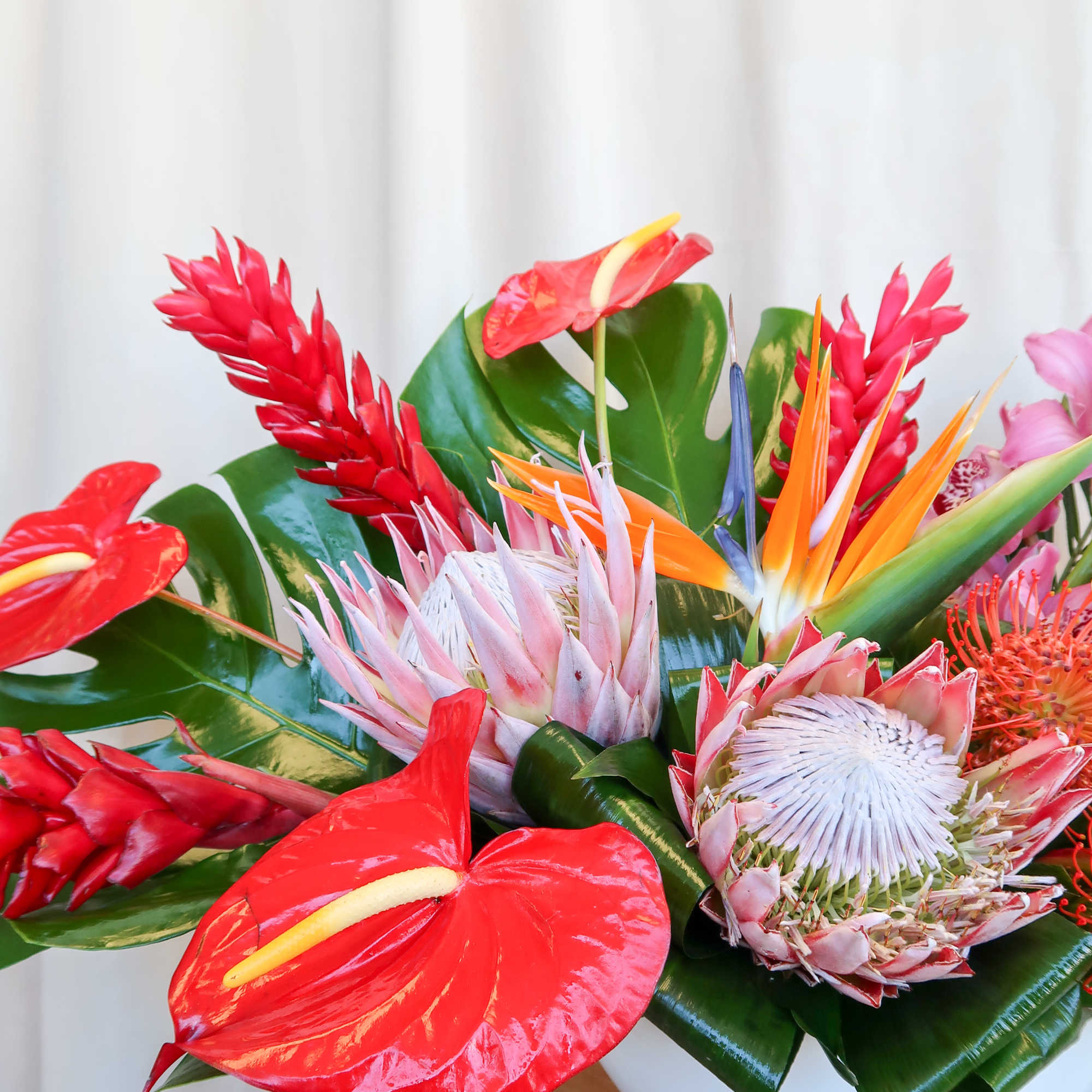 Tropical bouquet with red anthuriums and protea in a white bowl vase