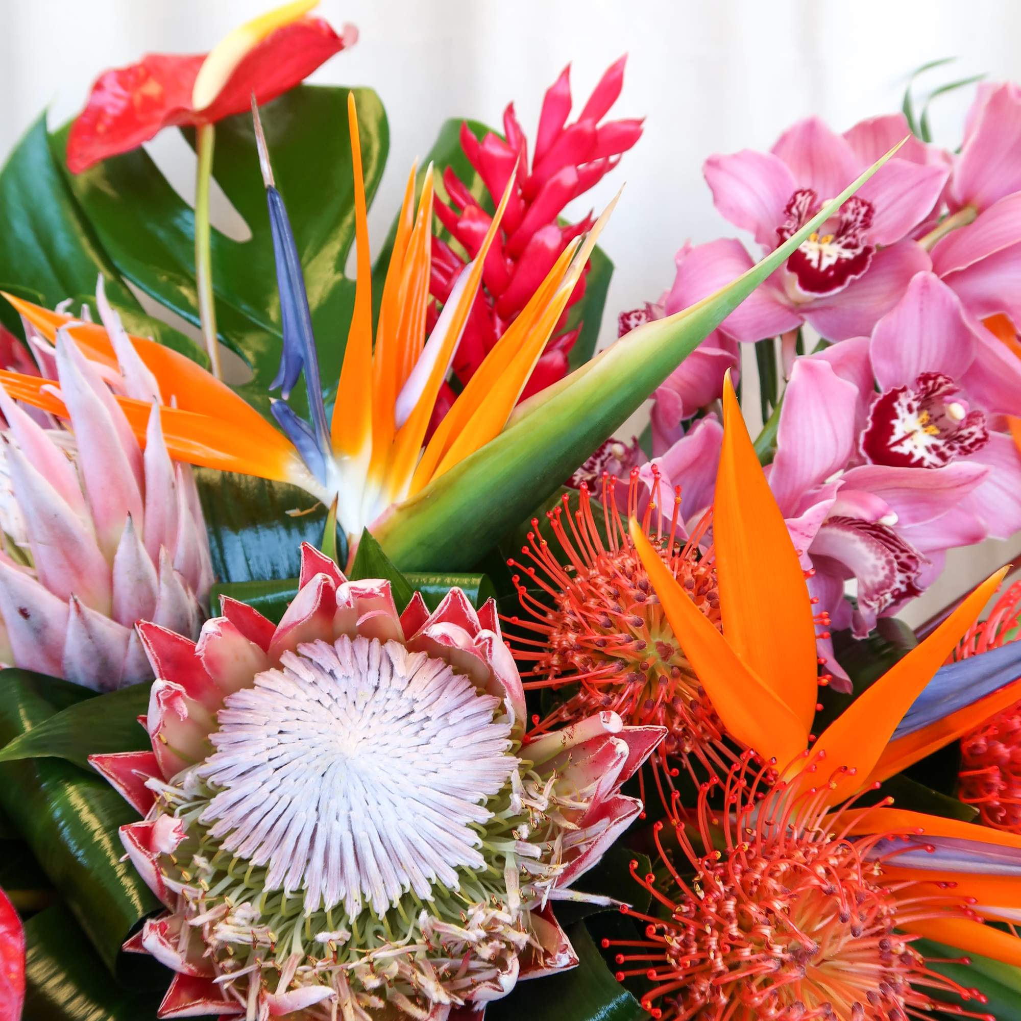 Tropical bouquet with bird of paradise, orchids, and protea in a white vase