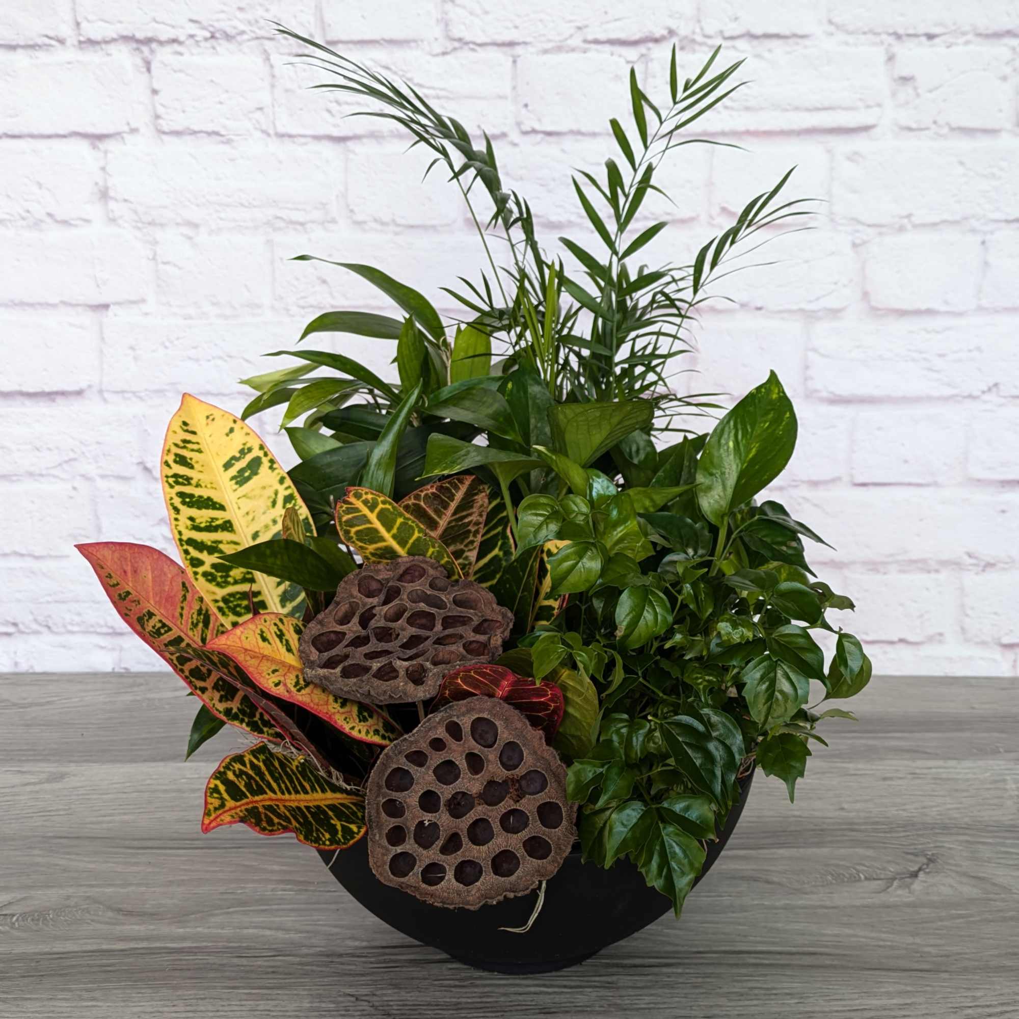 Mixed potted plants with colorful croton leaves and lotus seed pods in a black container