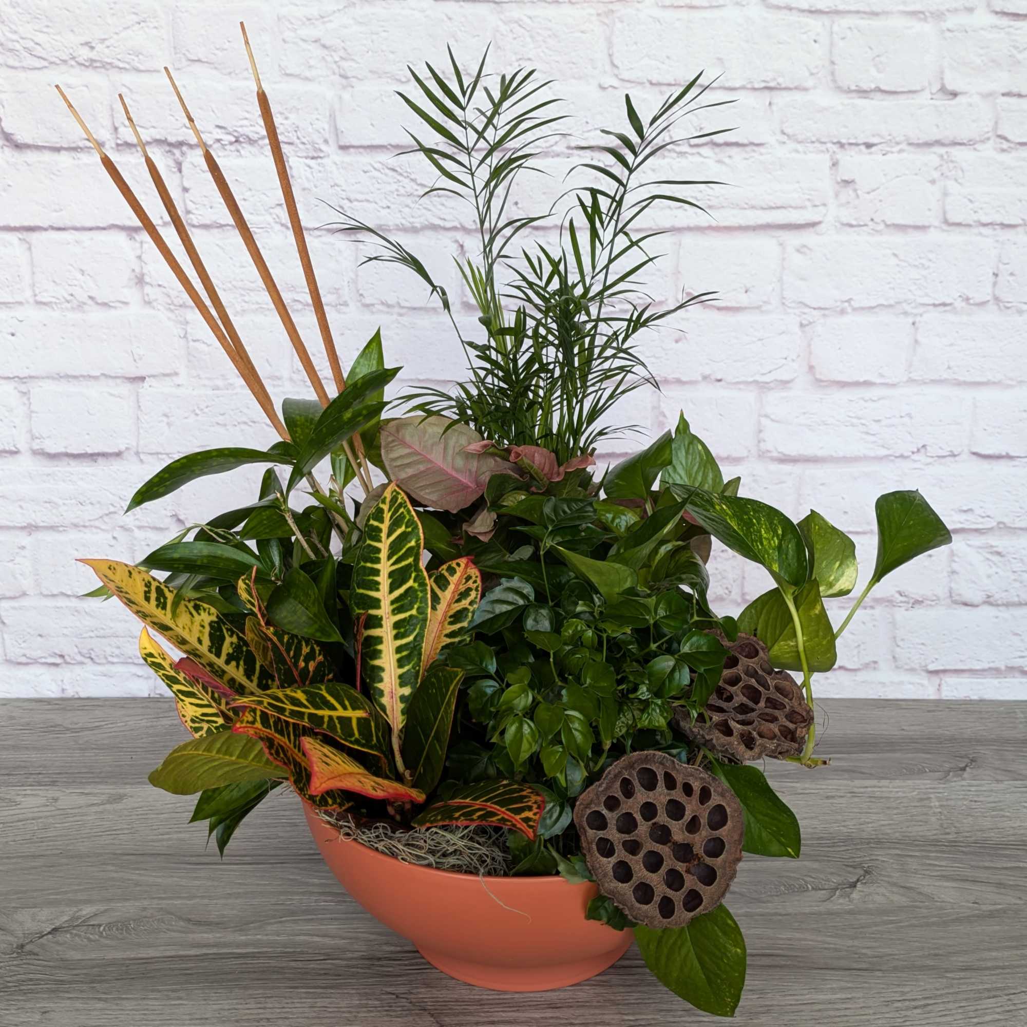 Mixed potted plant arrangement in a coral bowl with tall reeds and lotus pods
