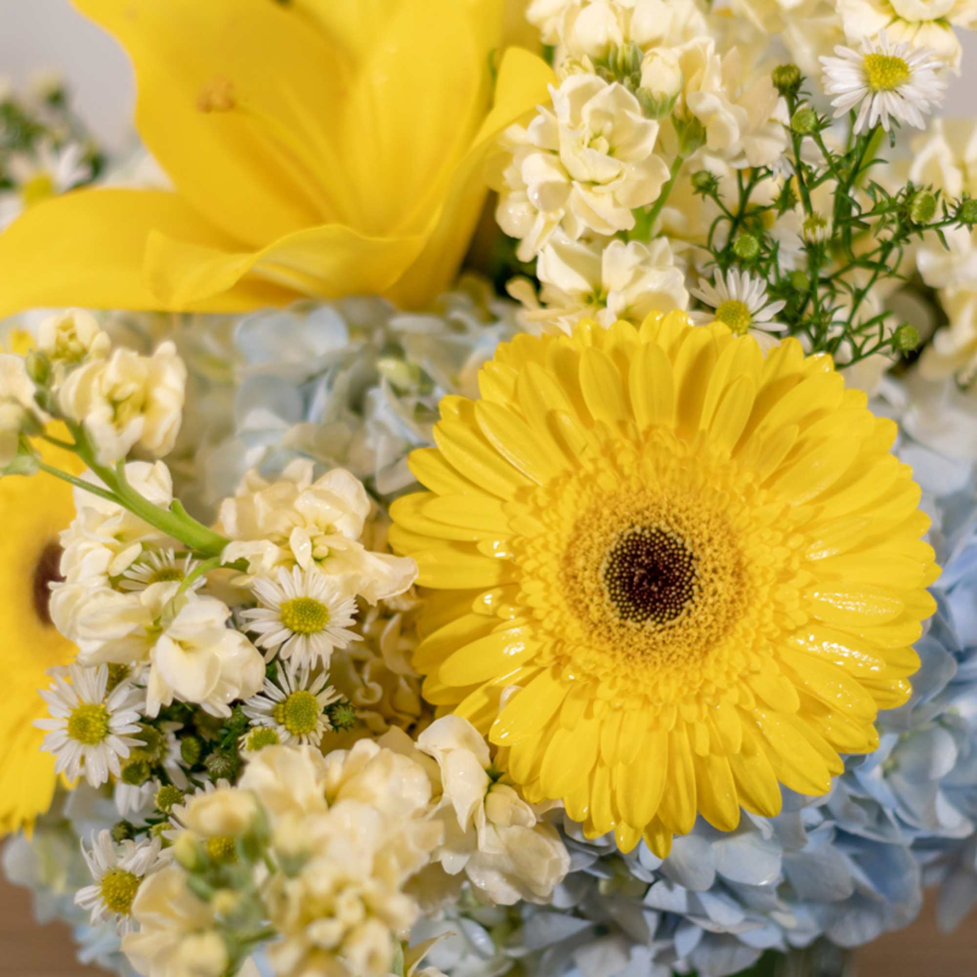 Large cube w/ green leaf inside, yellow lilies, light blue hydrangea, pale, photo 2 of 2