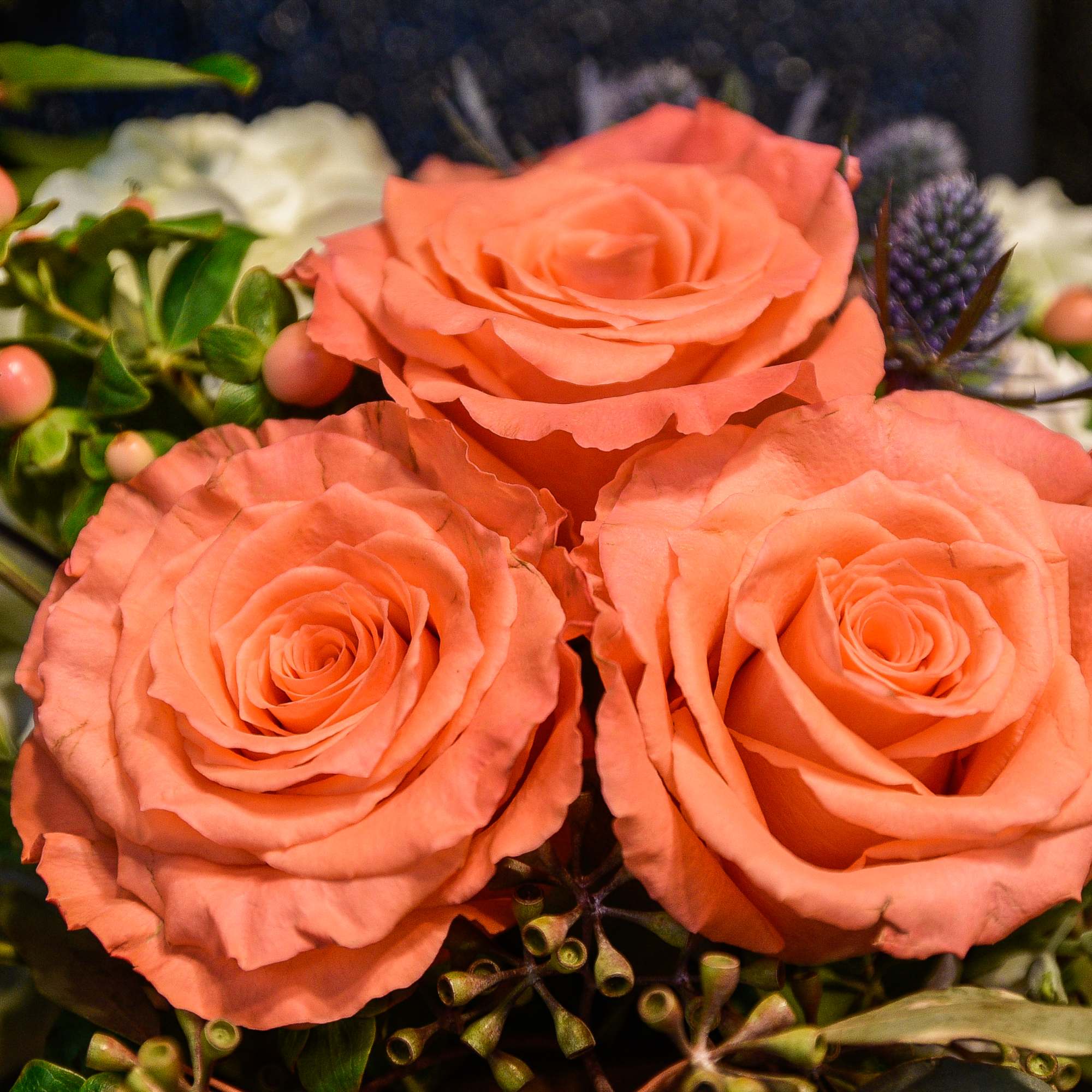 Cluster of three peach roses with blue thistles and berries in a mixed arrangement