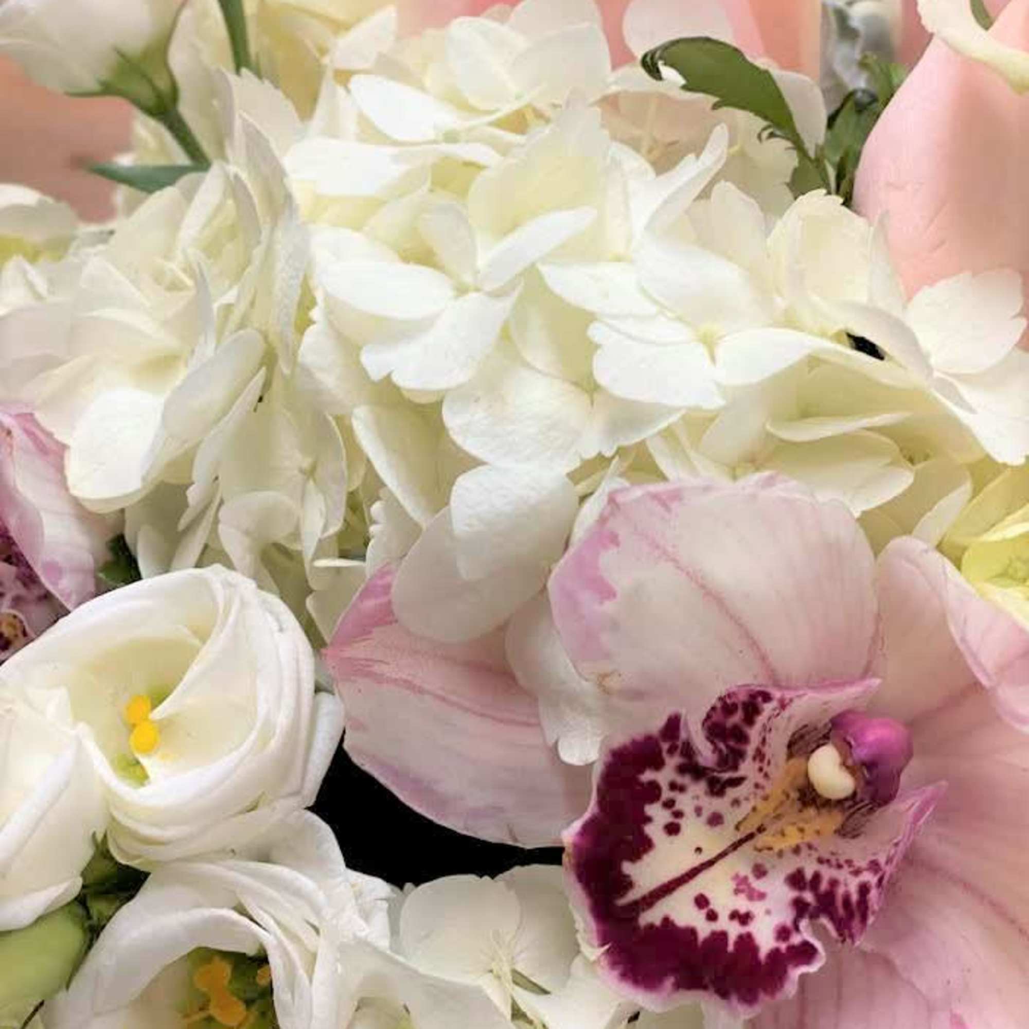 Close-up of white hydrangeas, white lisianthus, pink roses, and a pink spotted orchid in a pastel arrangement