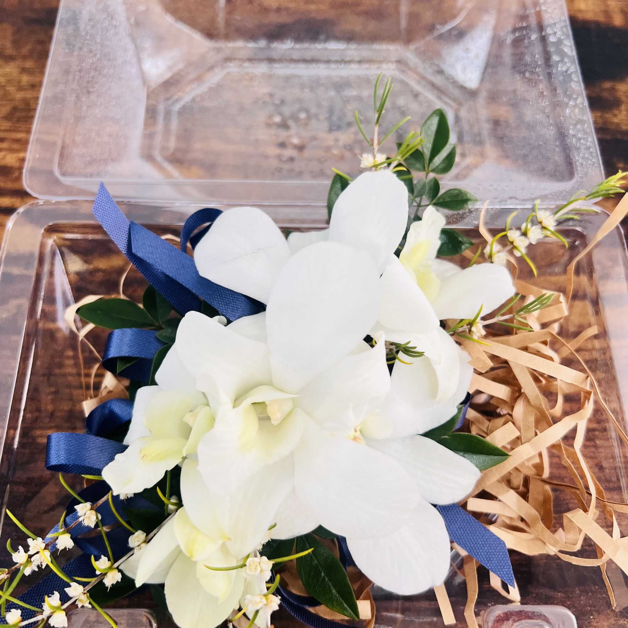 White orchid arrangement in a clear plastic gift box with blue ribbon