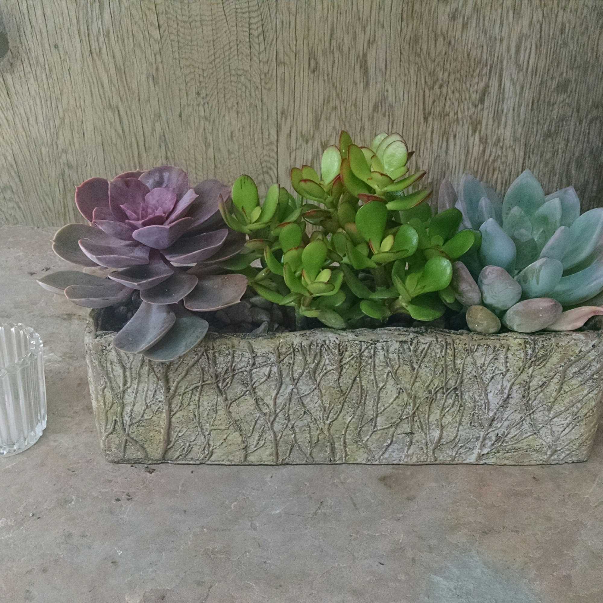 Succulent arrangement in a rectangular stone planter beside a small glass votive holder