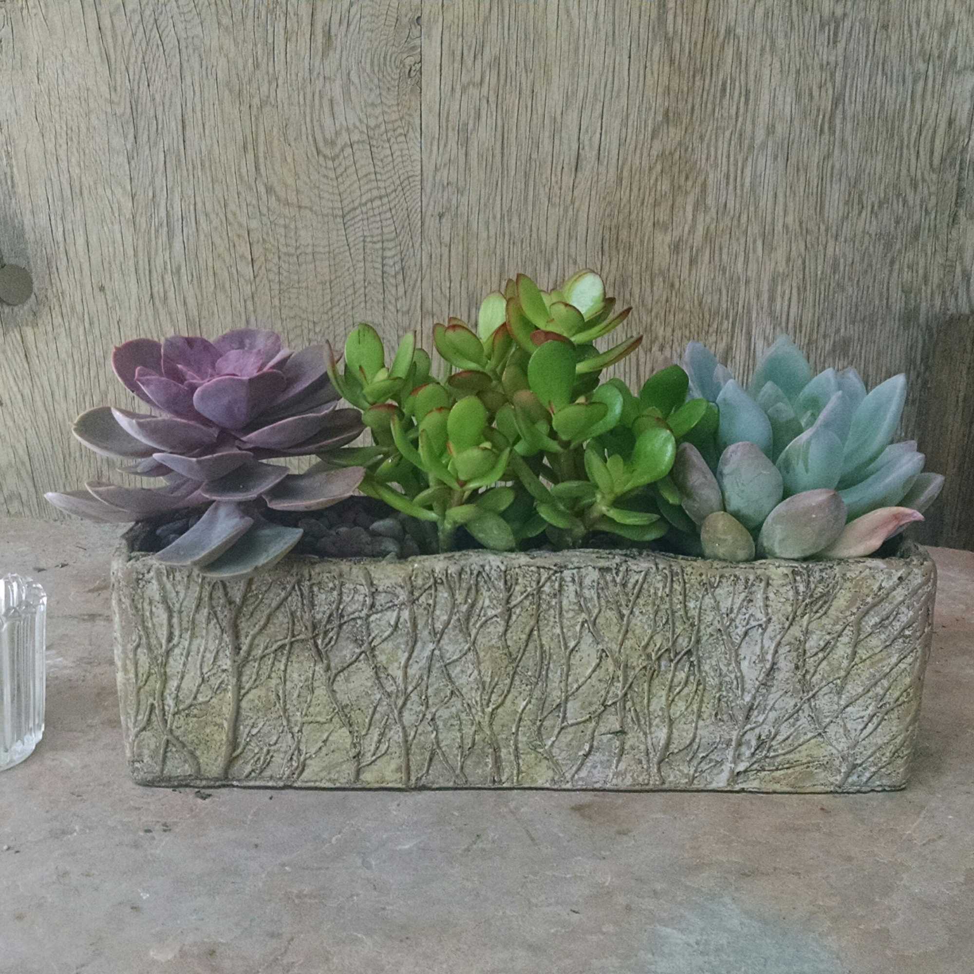 Succulent arrangement in a rectangular textured planter with a small glass votive
