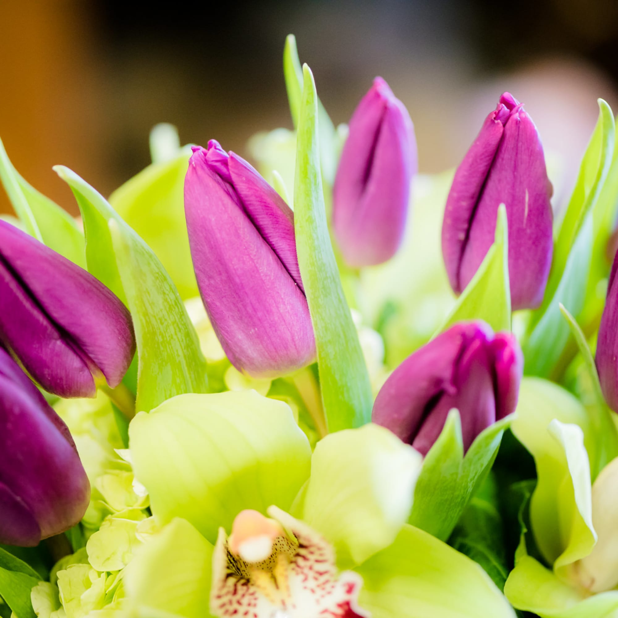 Bouquet of purple tulips and pale green orchids