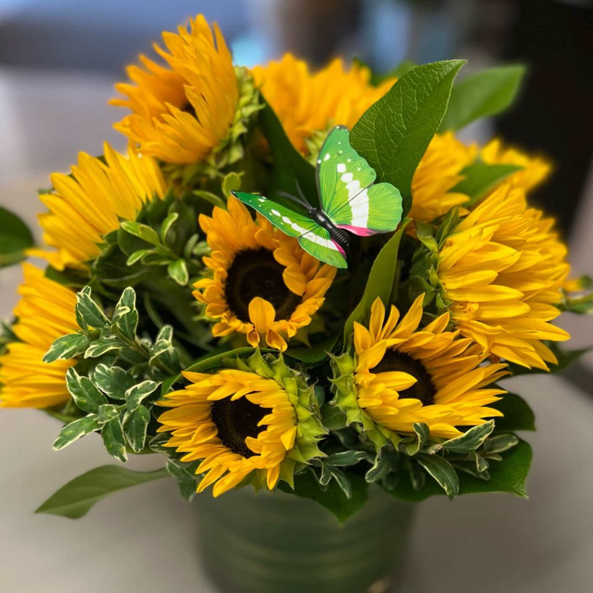Introducing our charming Sunny Sunflowers arrangement! This delightful bouquet features sunny sunflowers