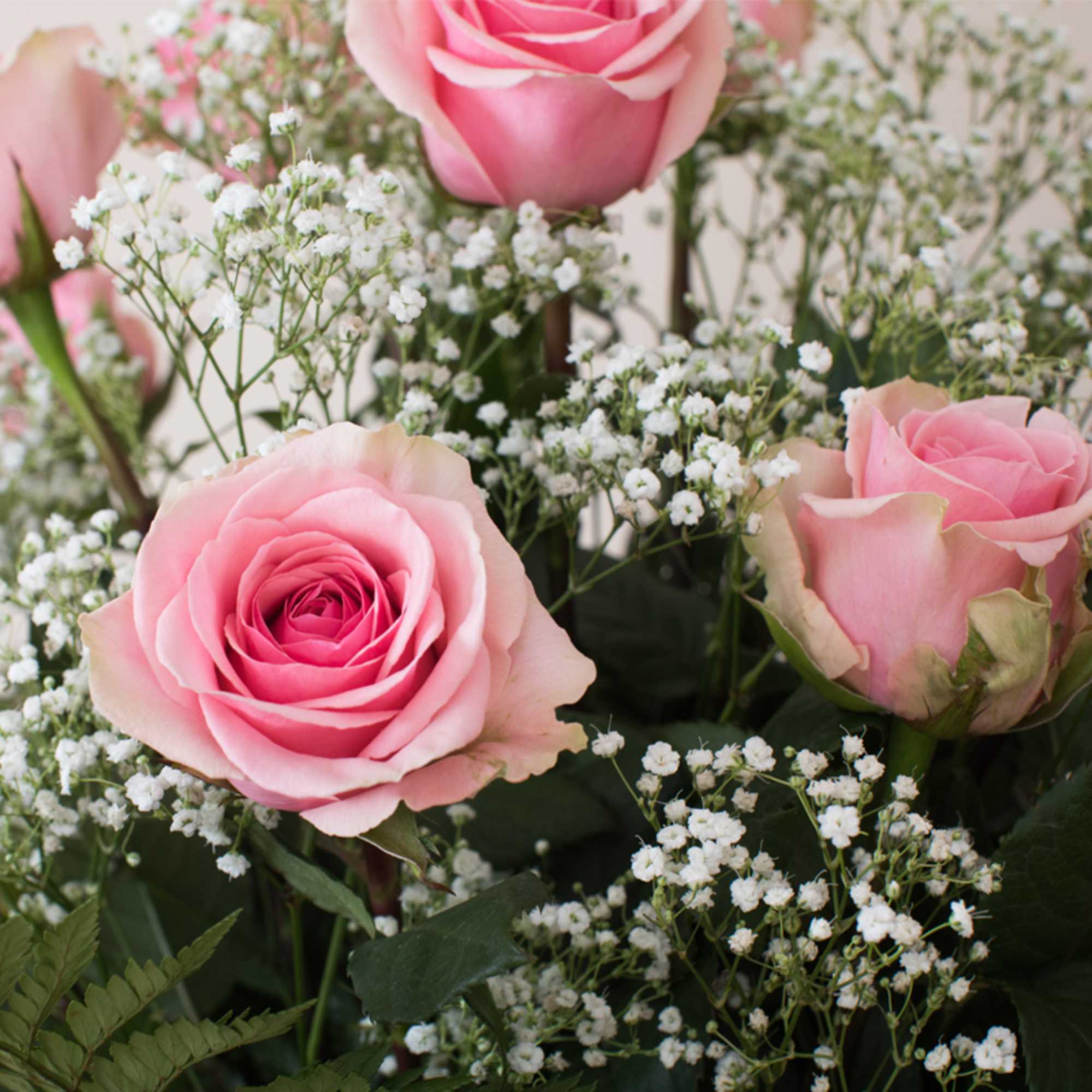 Close-up of pink roses arranged with clusters of small white filler flowers