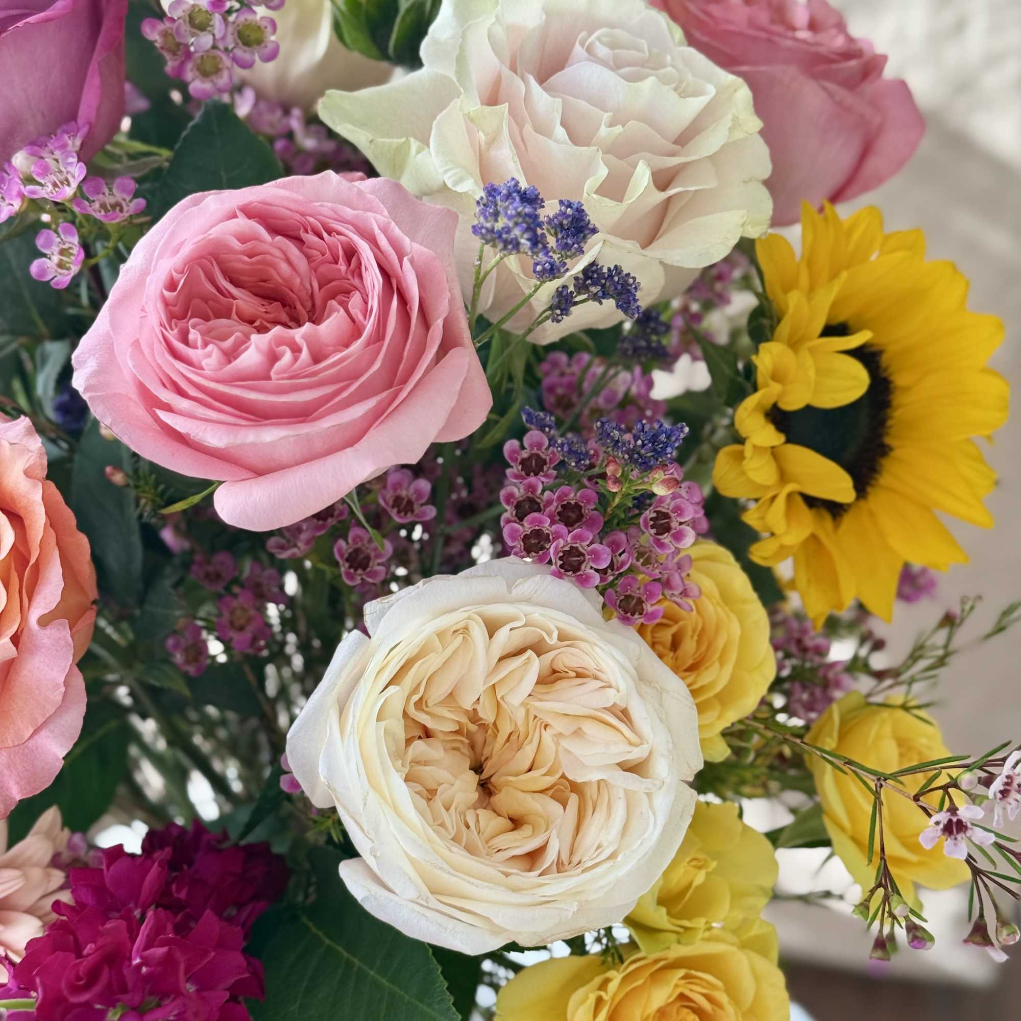 Catie is a cat friendly arrangement! It will consist of wax flowers