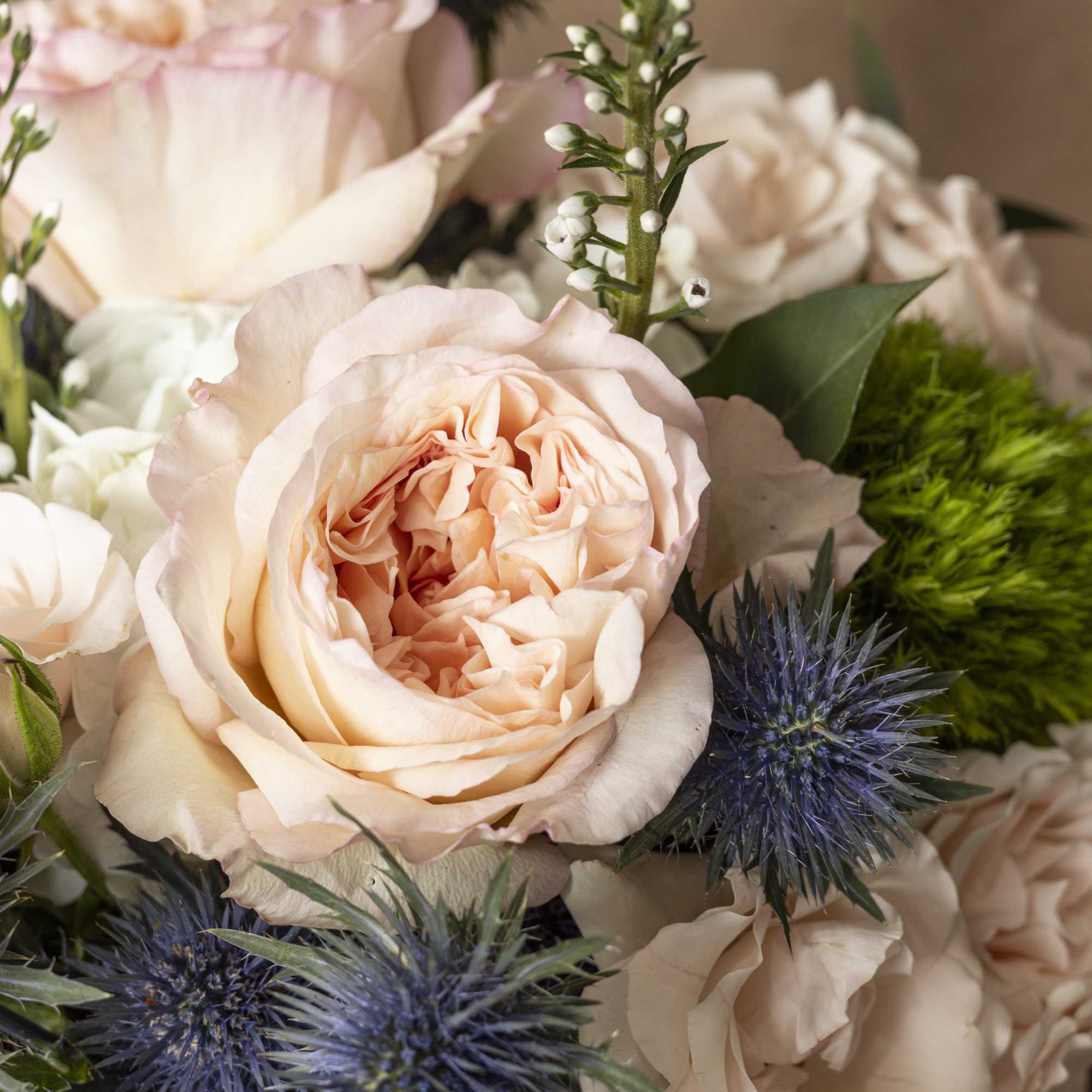 Blush roses with blue thistle-like flowers in a close bouquet