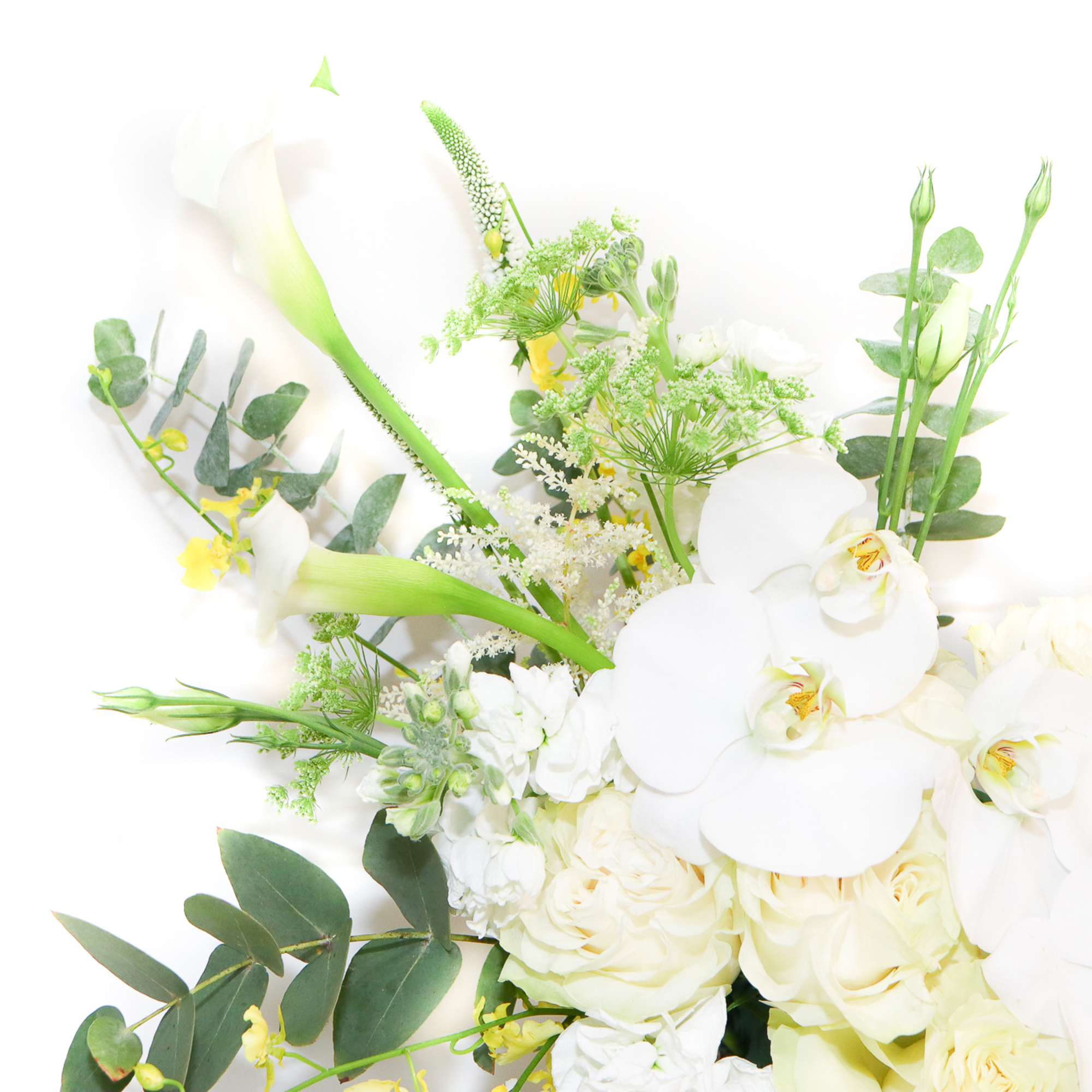 White floral arrangement with orchids and pale blooms
