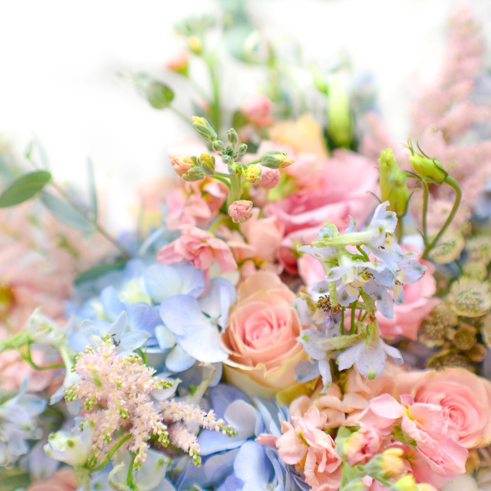 Pastel bouquet of pink roses and blue hydrangeas with mixed blooms