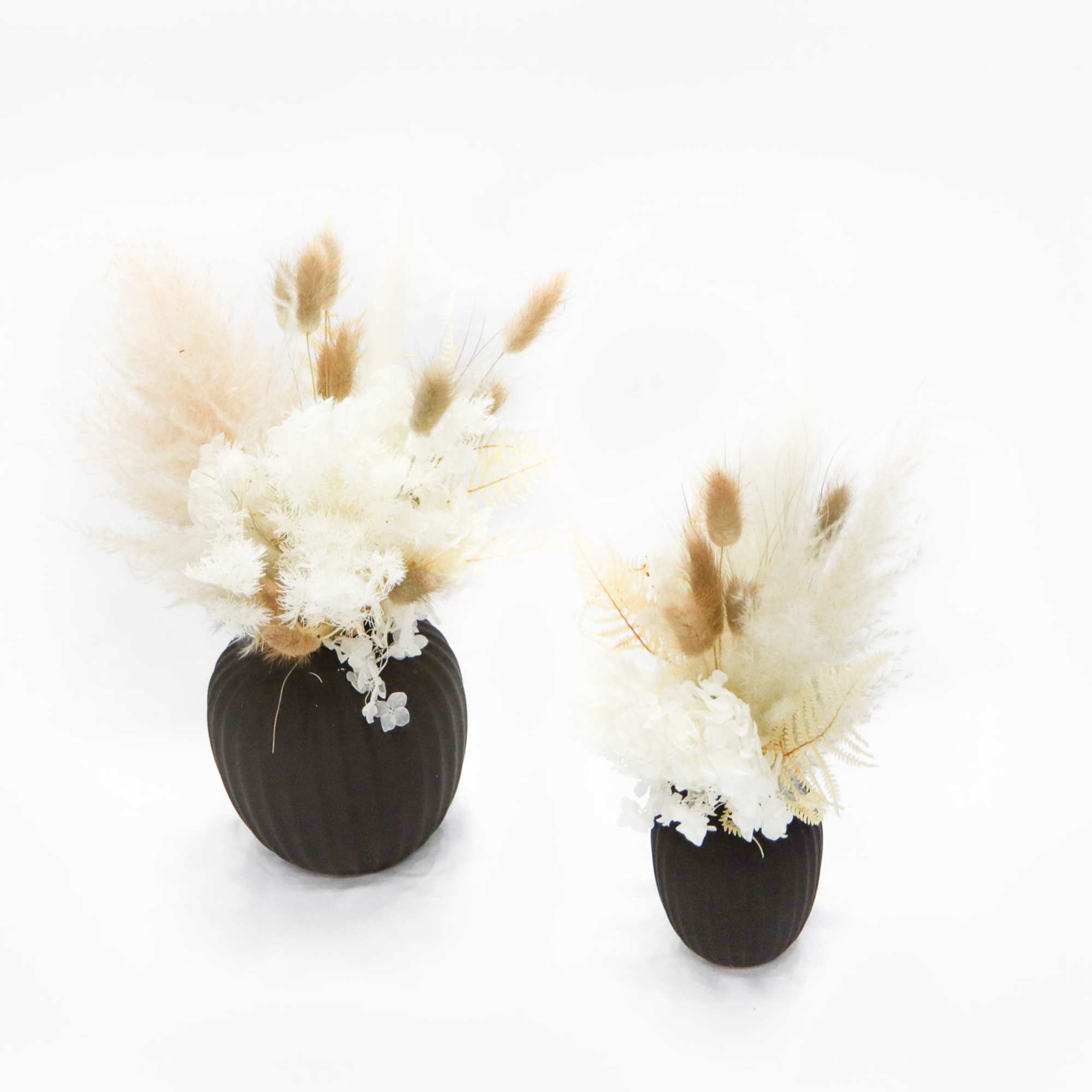 Two dried floral arrangements in dark vases on a white background
