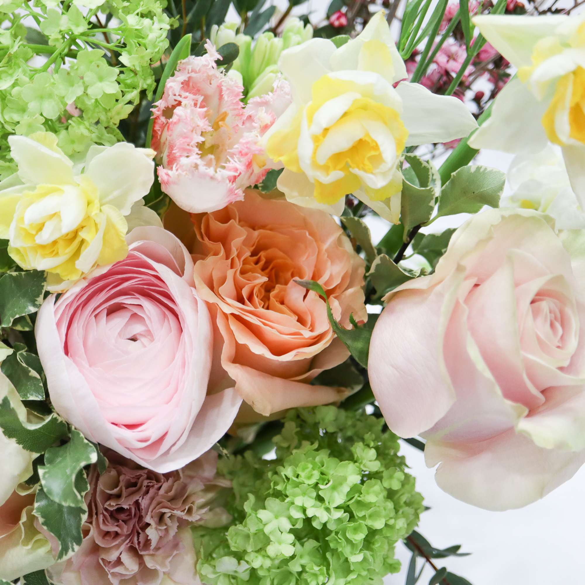 Bouquet of pale pink and peach roses with yellow daffodils