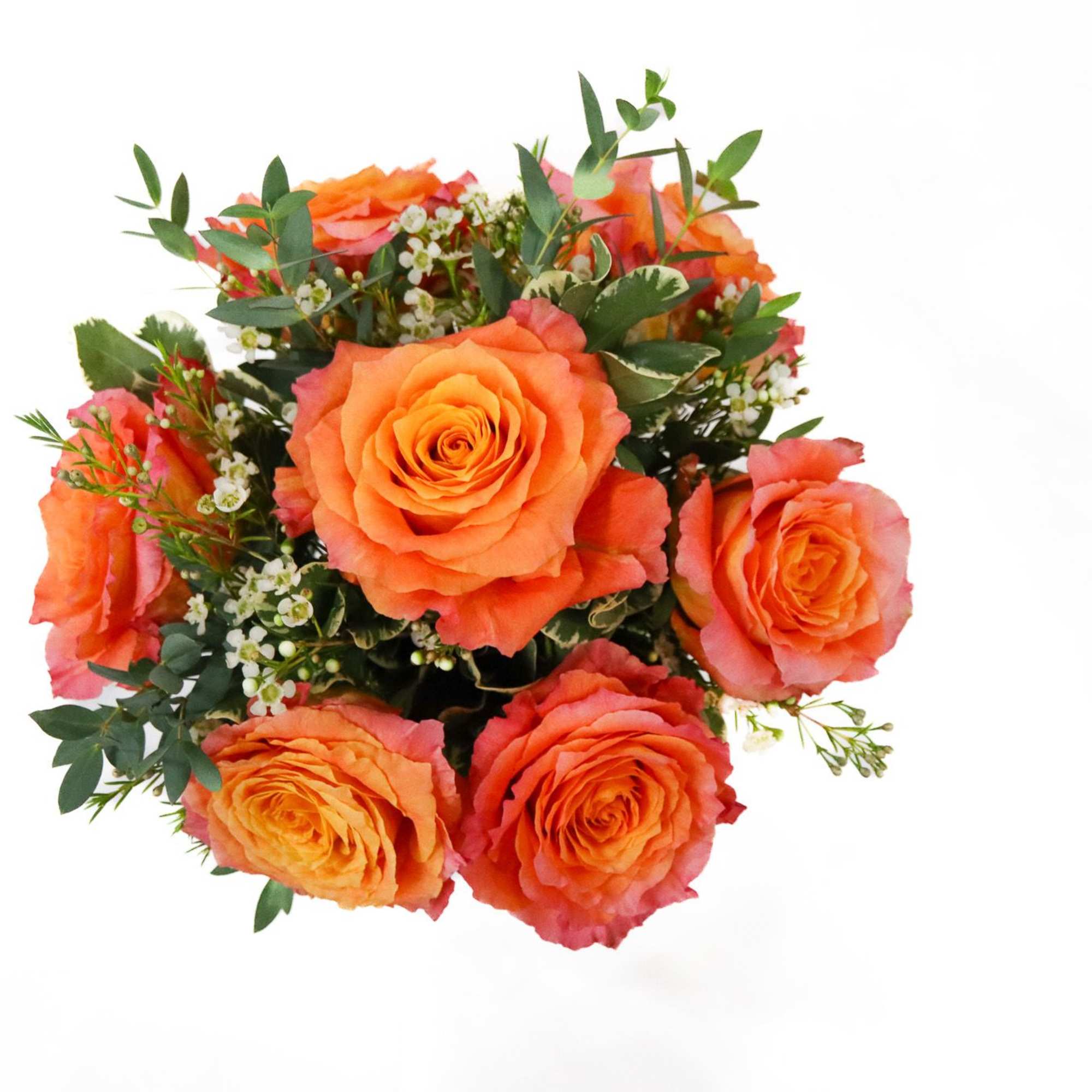 Bouquet of orange roses with small white filler flowers