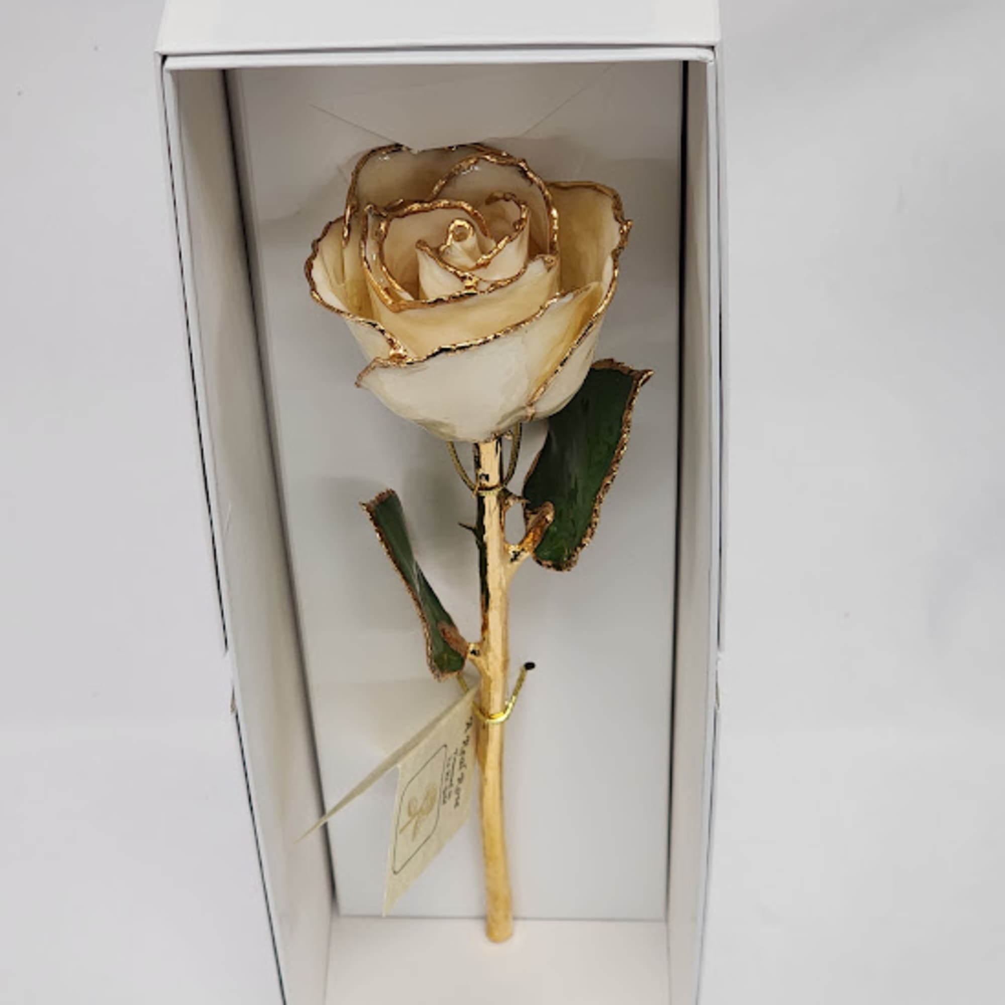 A real rose preserved to last and then trimmed with real 24kt, photo 2 of 2