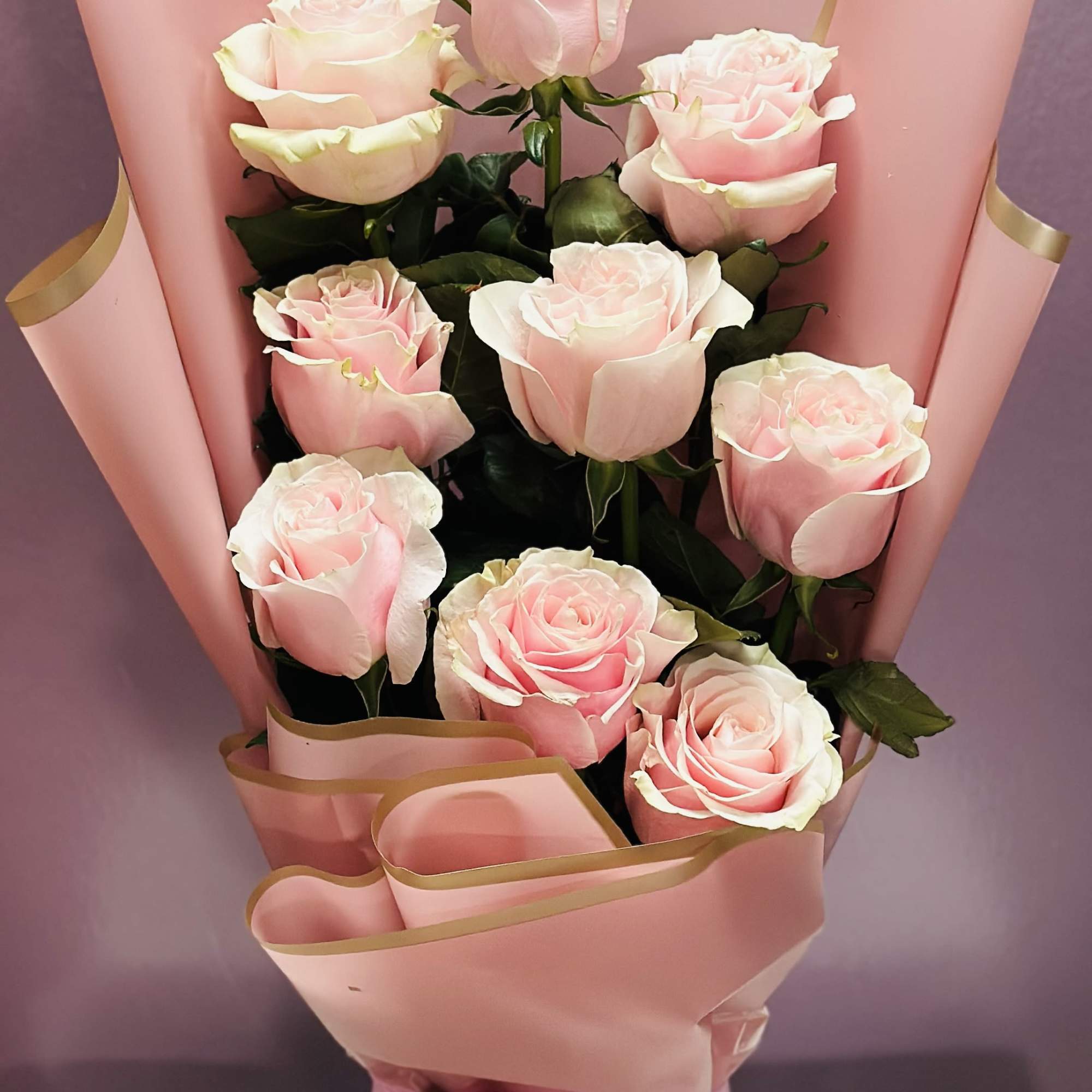 Bouquet of pale pink roses wrapped in pink paper with a ribbon