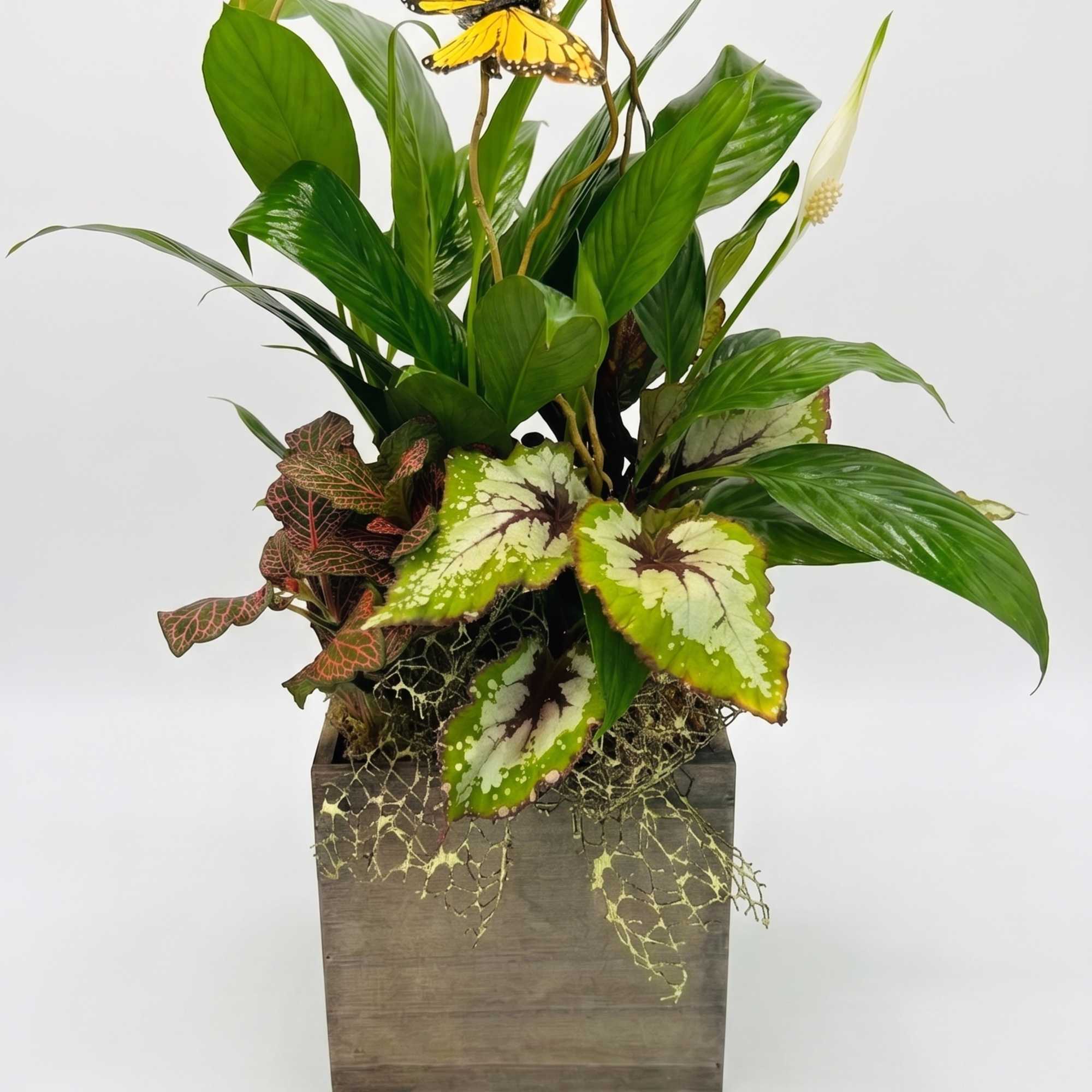 Tropical plant arrangement in a wooden planter with a yellow butterfly accent