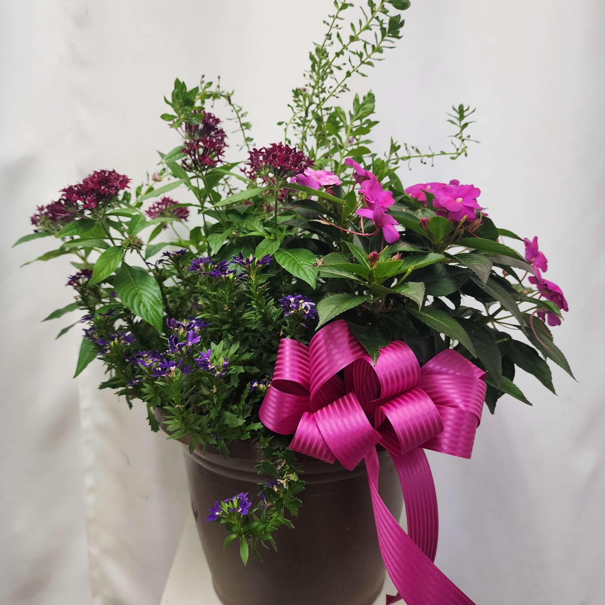 Mixed potted flowering plant arrangement with pink and purple blooms in a brown container