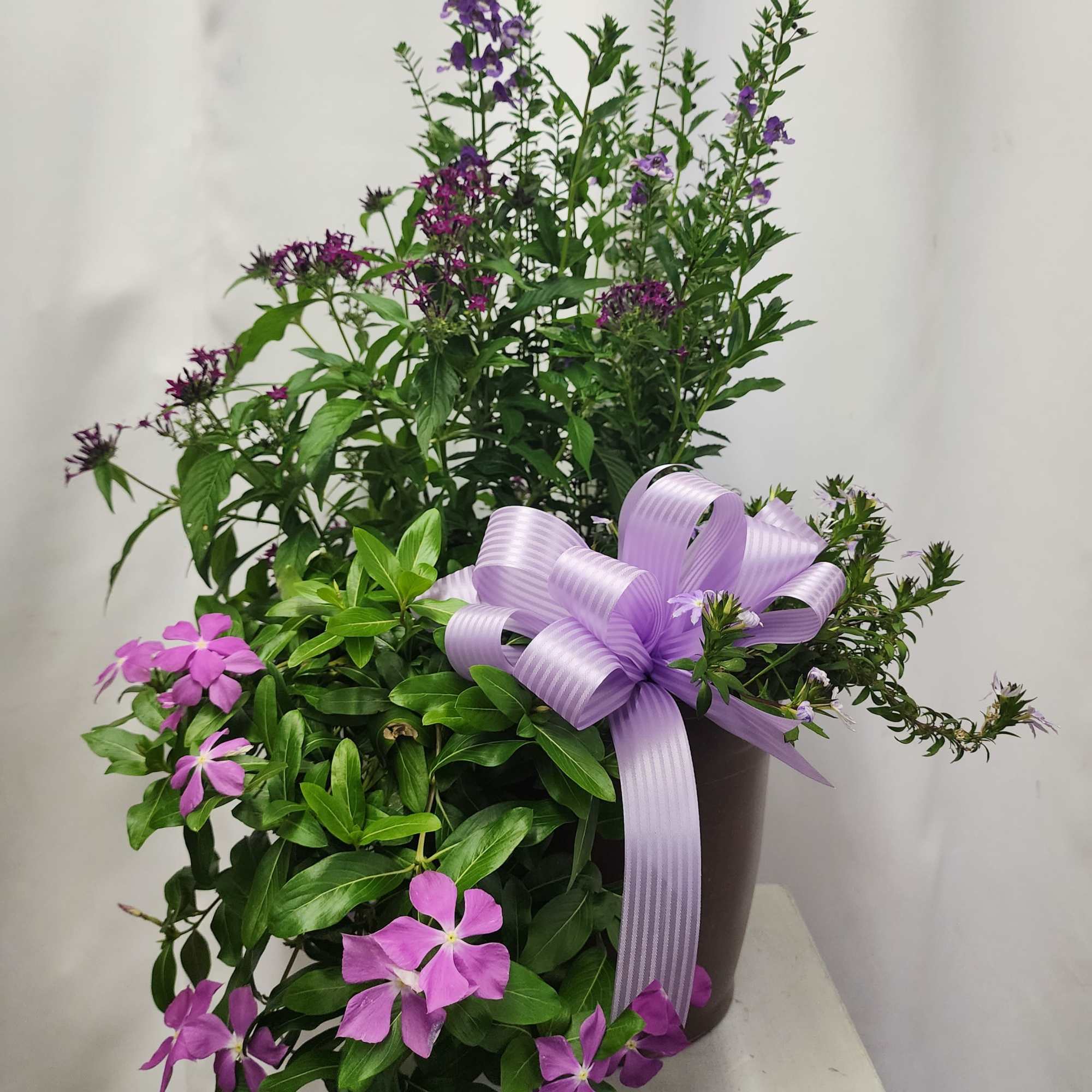 Purple flowers in a dark vase with a lavender ribbon bow