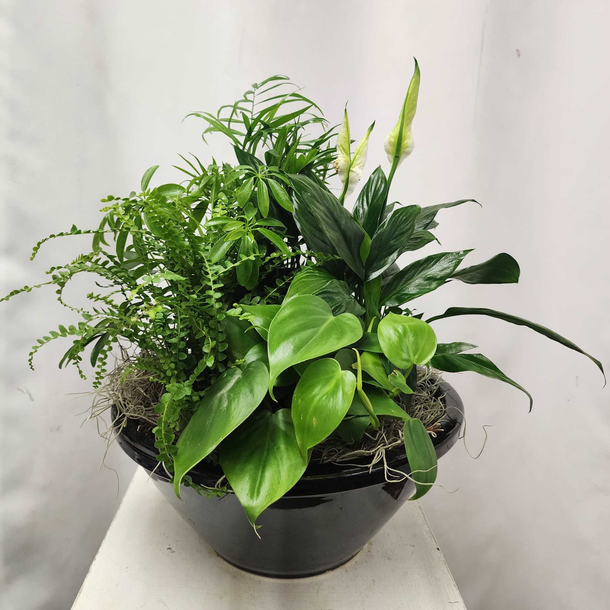 A ceramic planter of designers choice filled with a variety of green