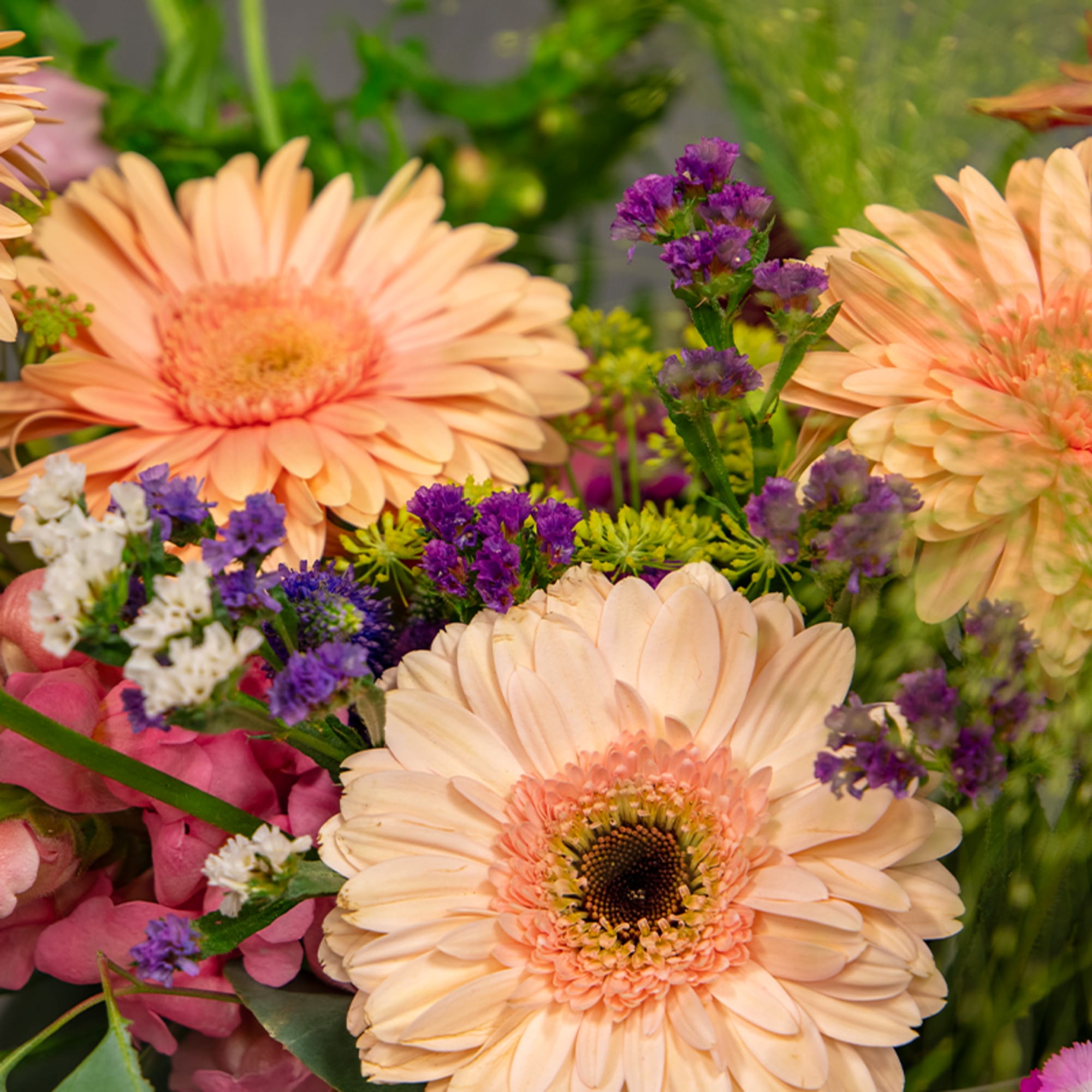 Peach gerbera daisies with purple filler flowers in a mixed bouquet