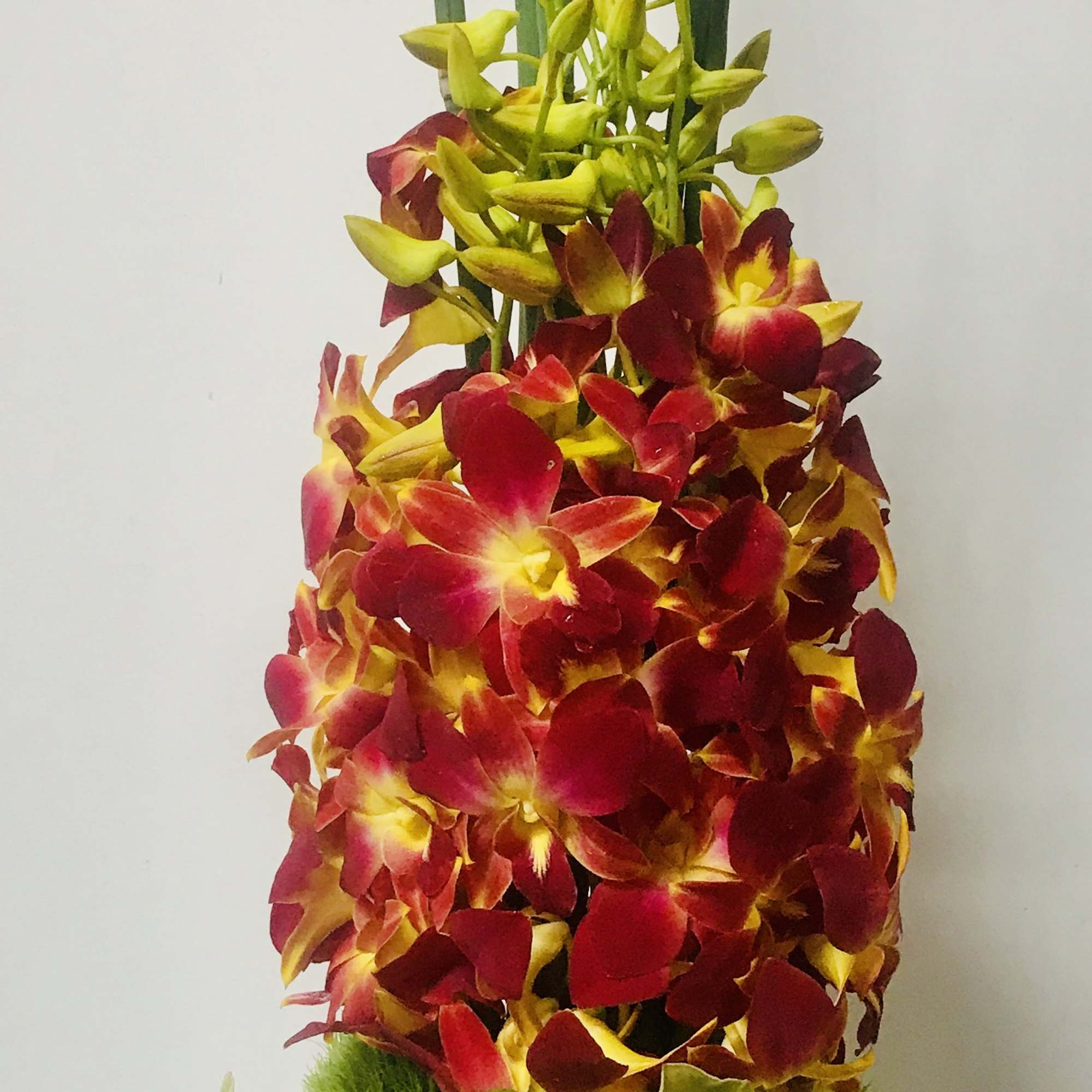 Tall orchid arrangement in a glass vase with red, yellow, and green blooms