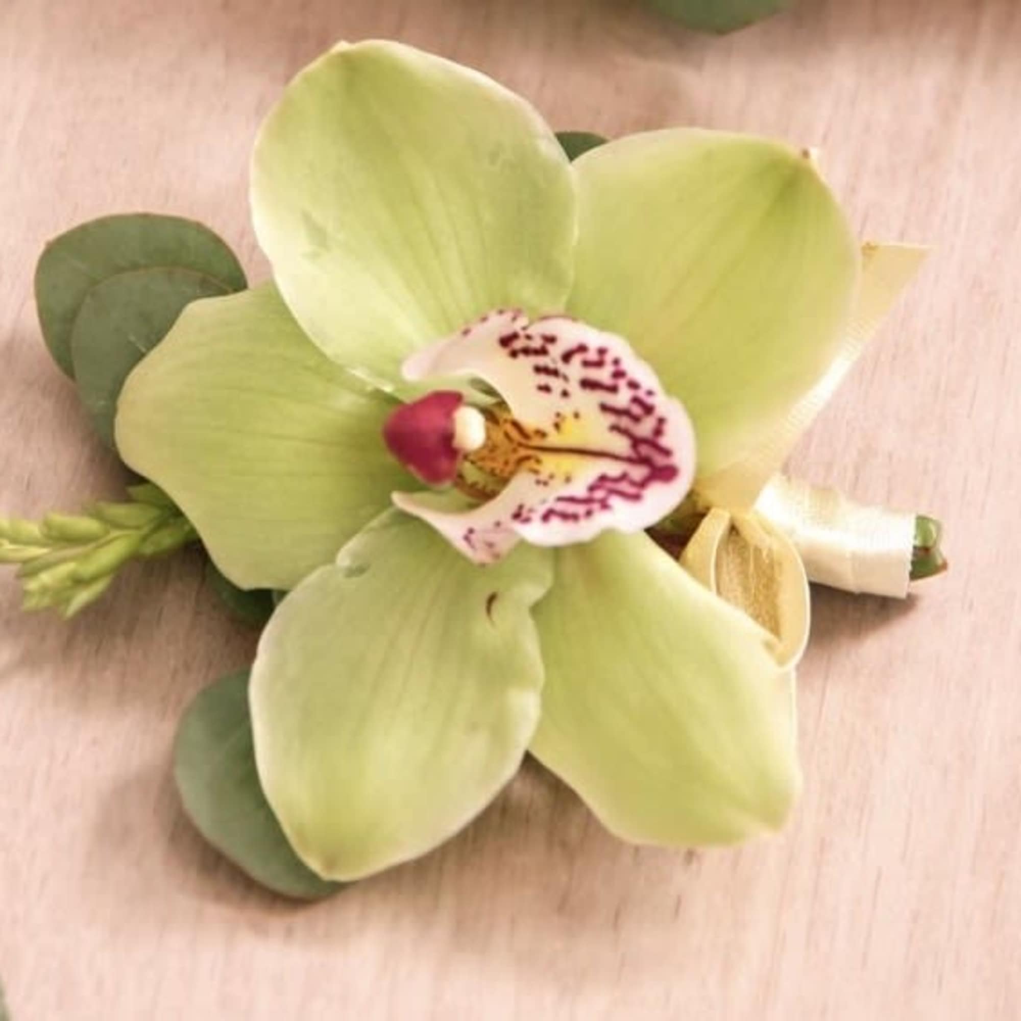 A refined and elegant boutonniere featuring a fresh orchid bloom, accented with, photo 3 of 3