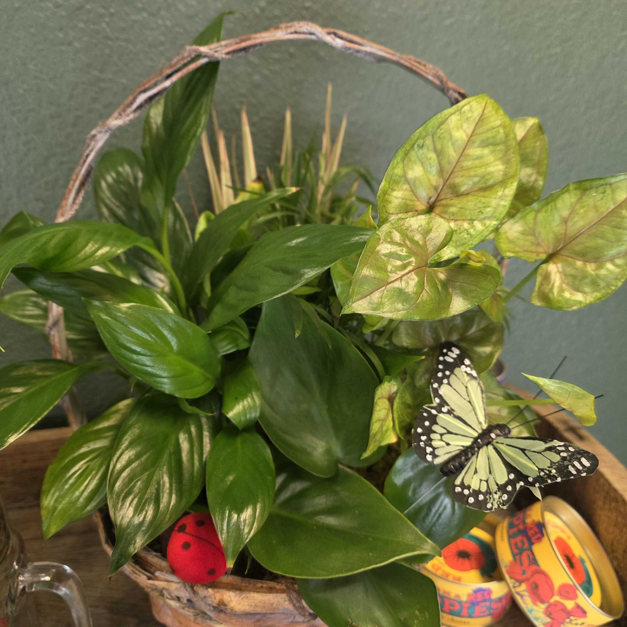 Basket of green houseplants with decorative butterfly and ladybug accents