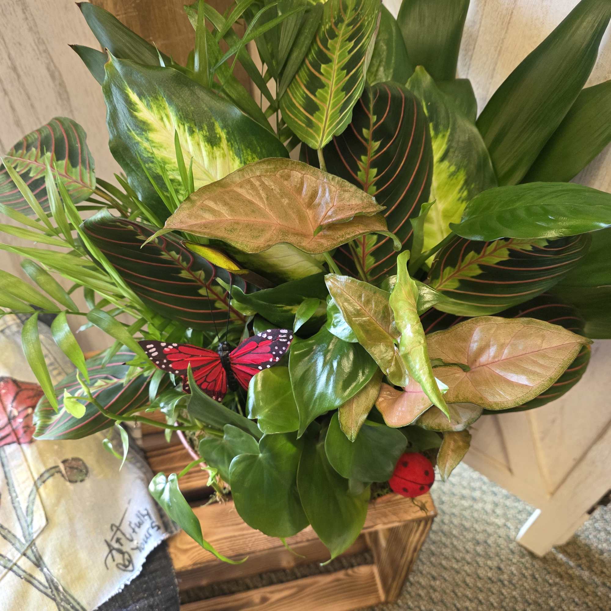 Tropical potted plant arrangement with patterned leaves and butterfly accents