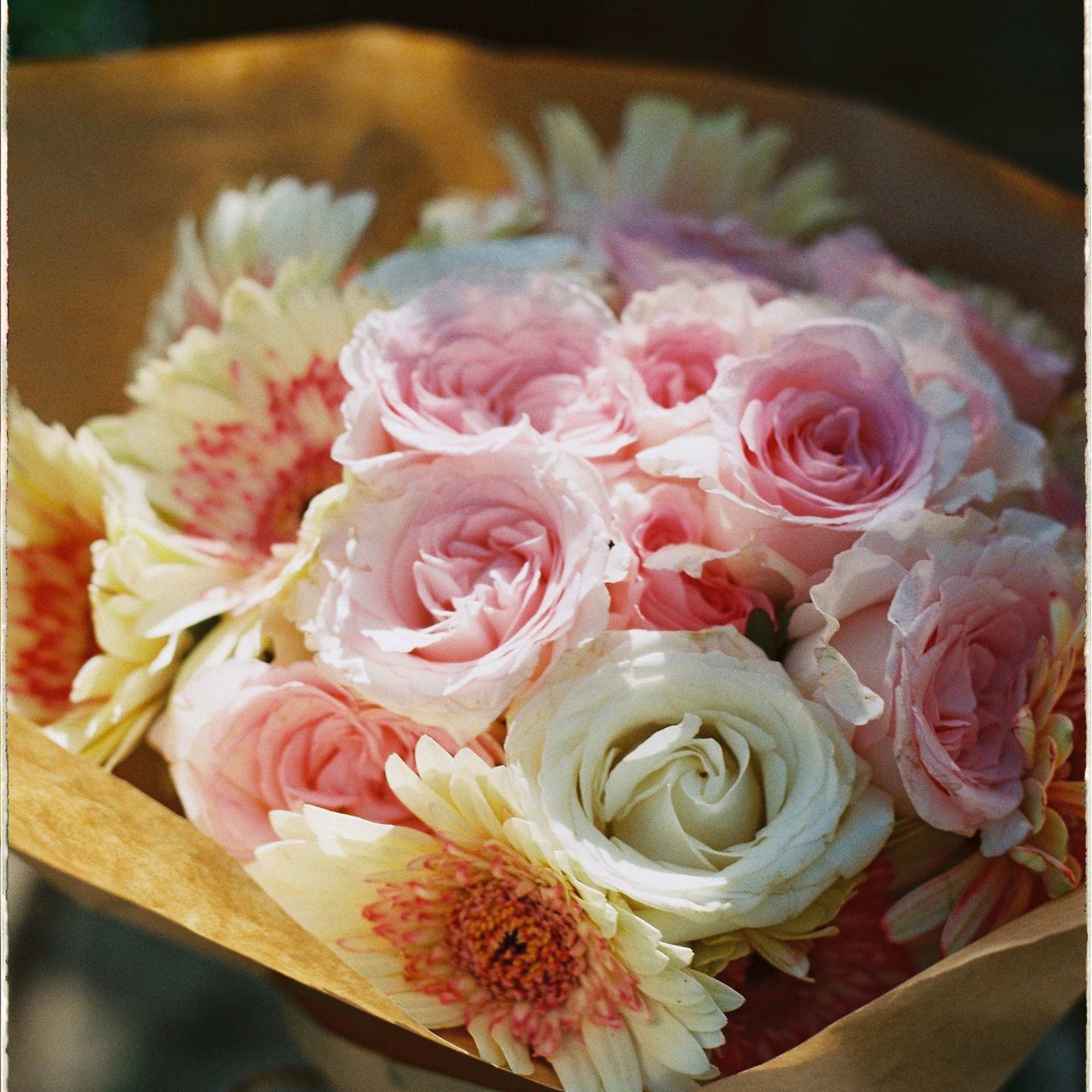 Bouquet of pink roses and pale gerbera daisies wrapped in brown paper