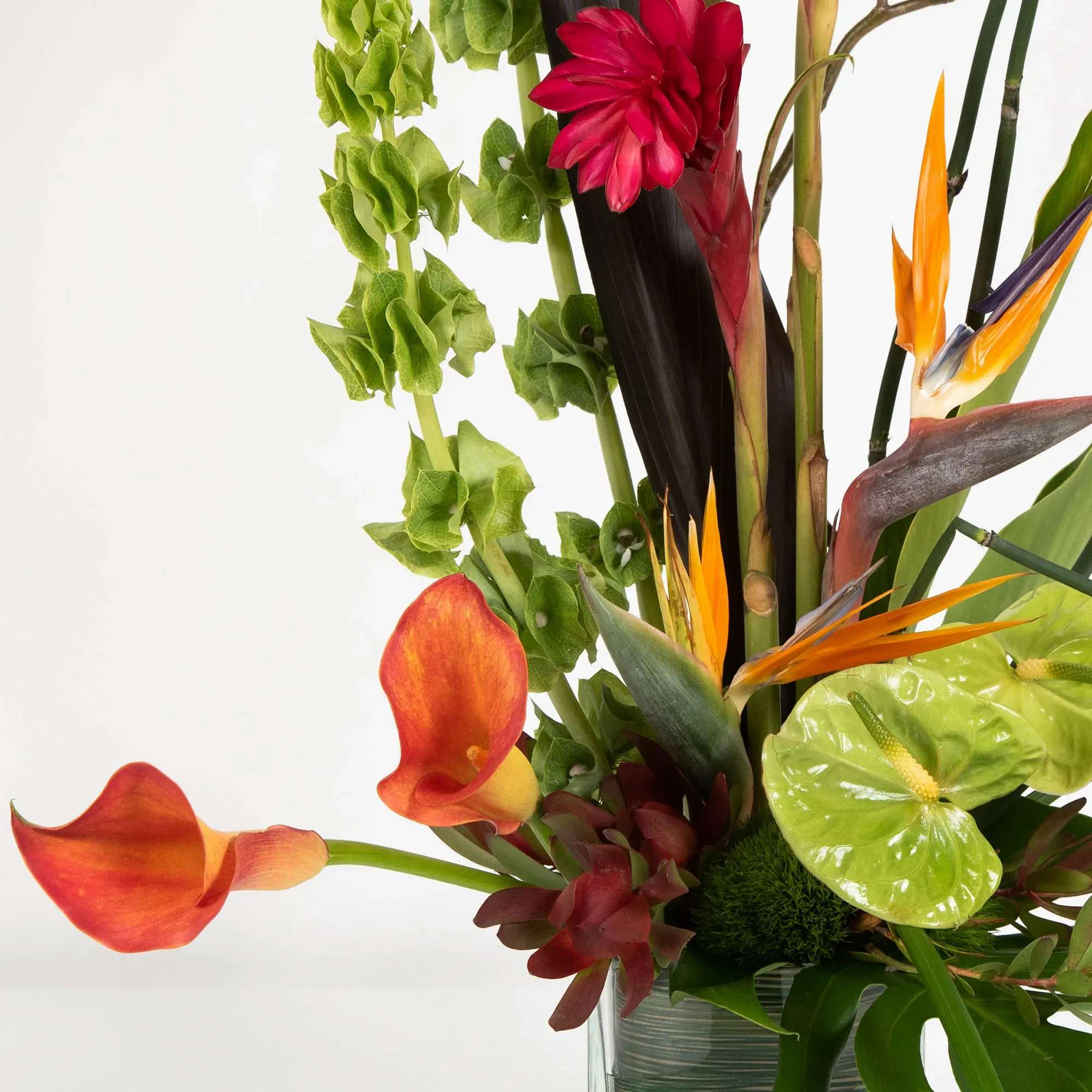 Tropical bouquet with orange calla lilies, bird of paradise, and green anthuriums