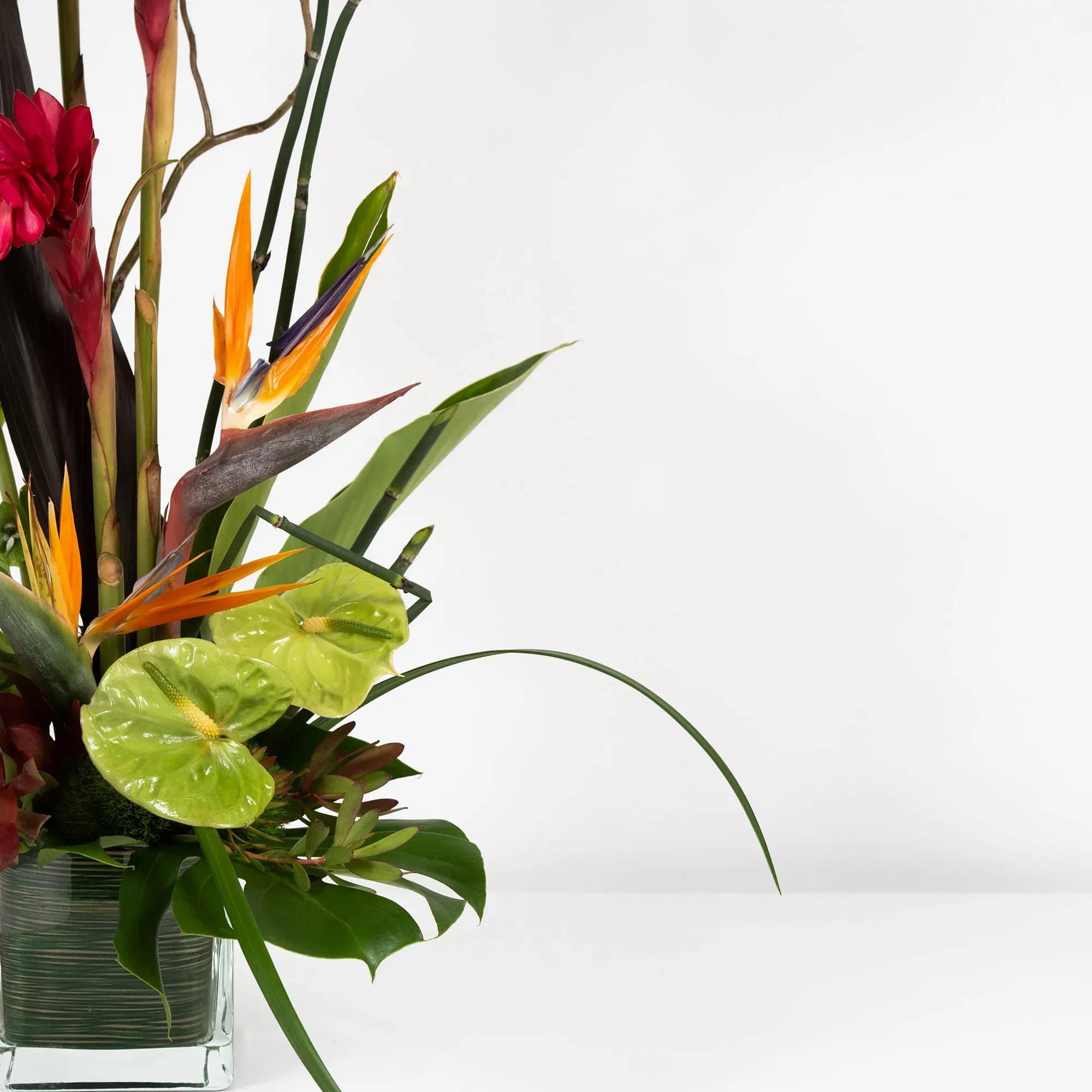 Tropical flower arrangement with bird of paradise and anthuriums in a glass vase