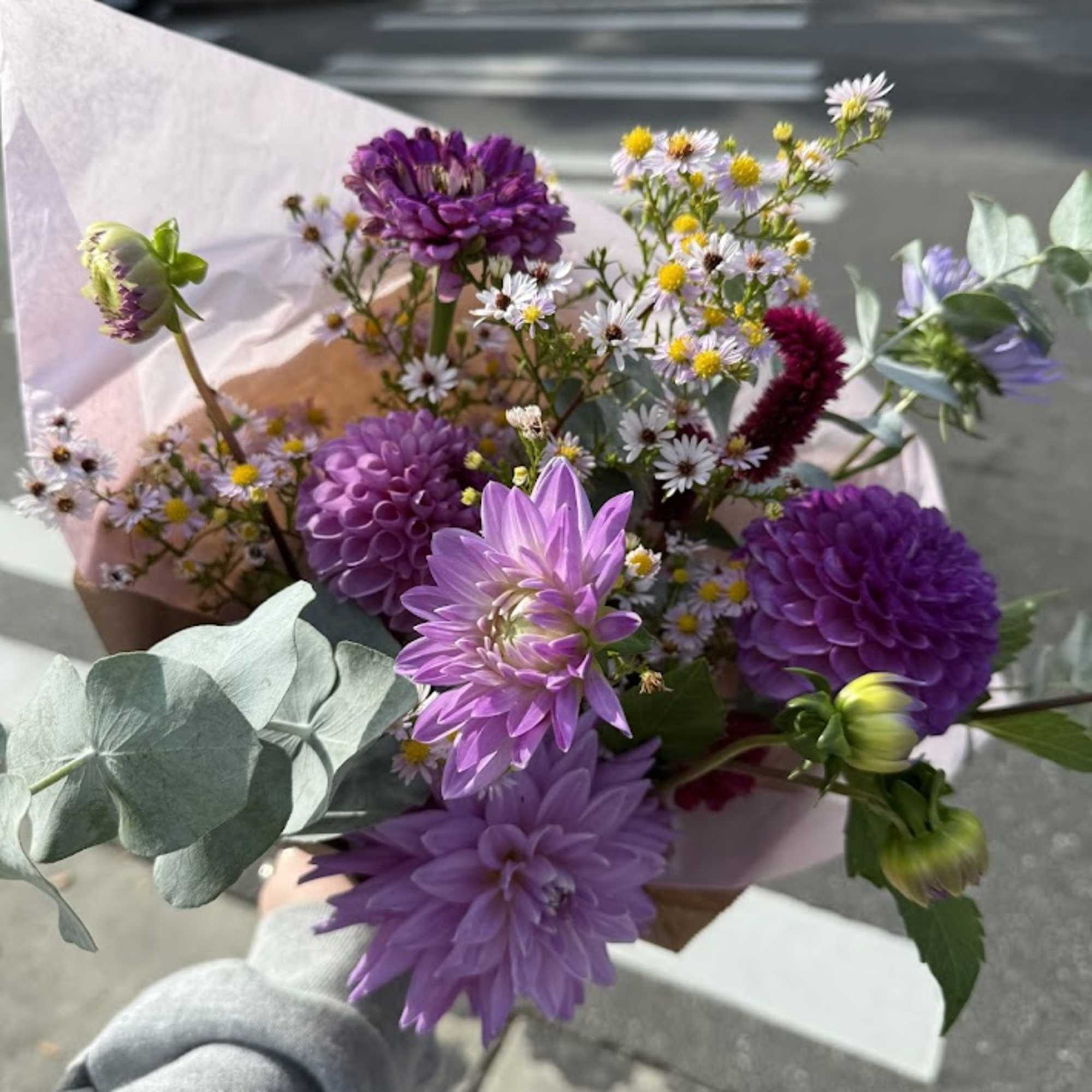 Handheld bouquet of purple flowers with small white daisies